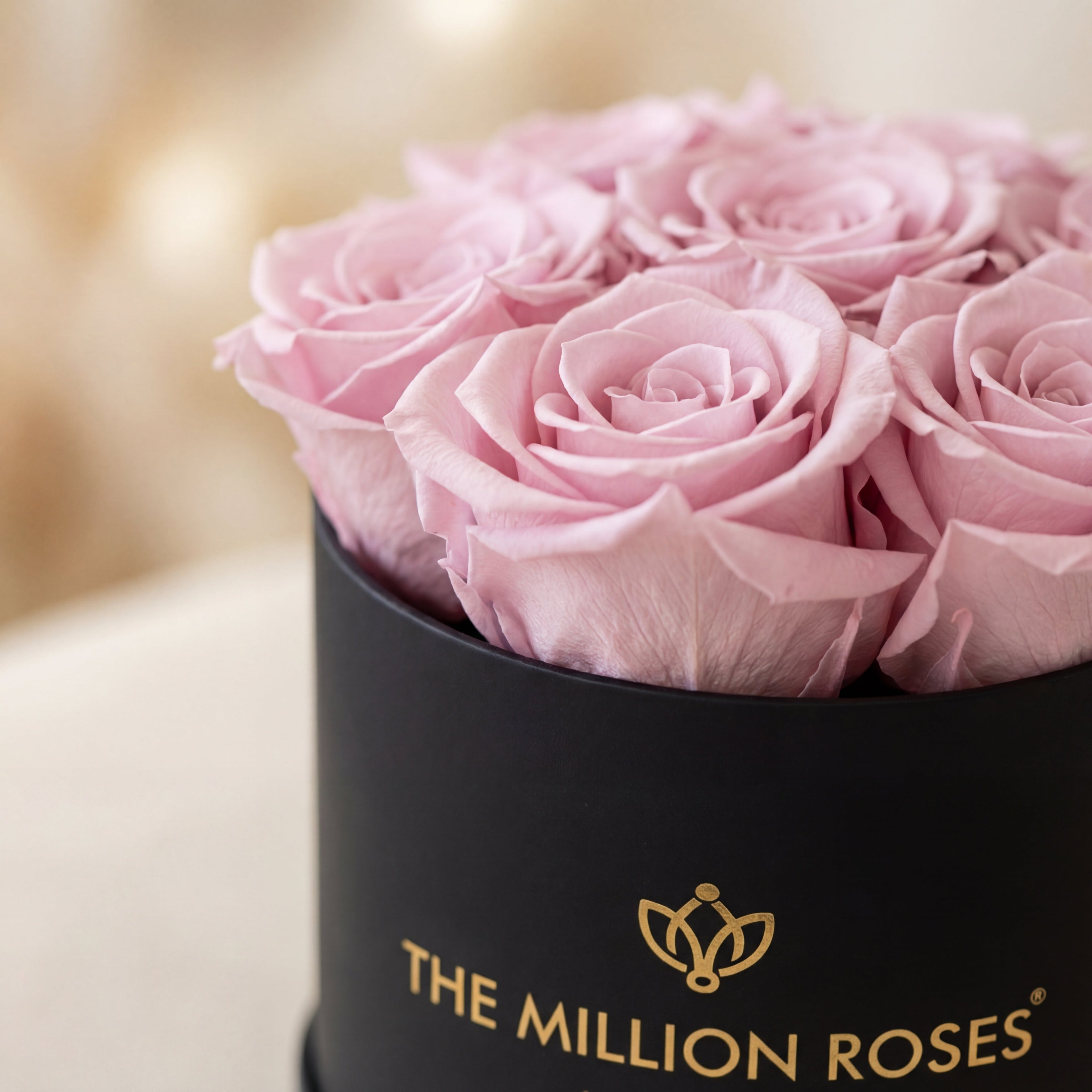 Essence Black Box | Light Pink Roses