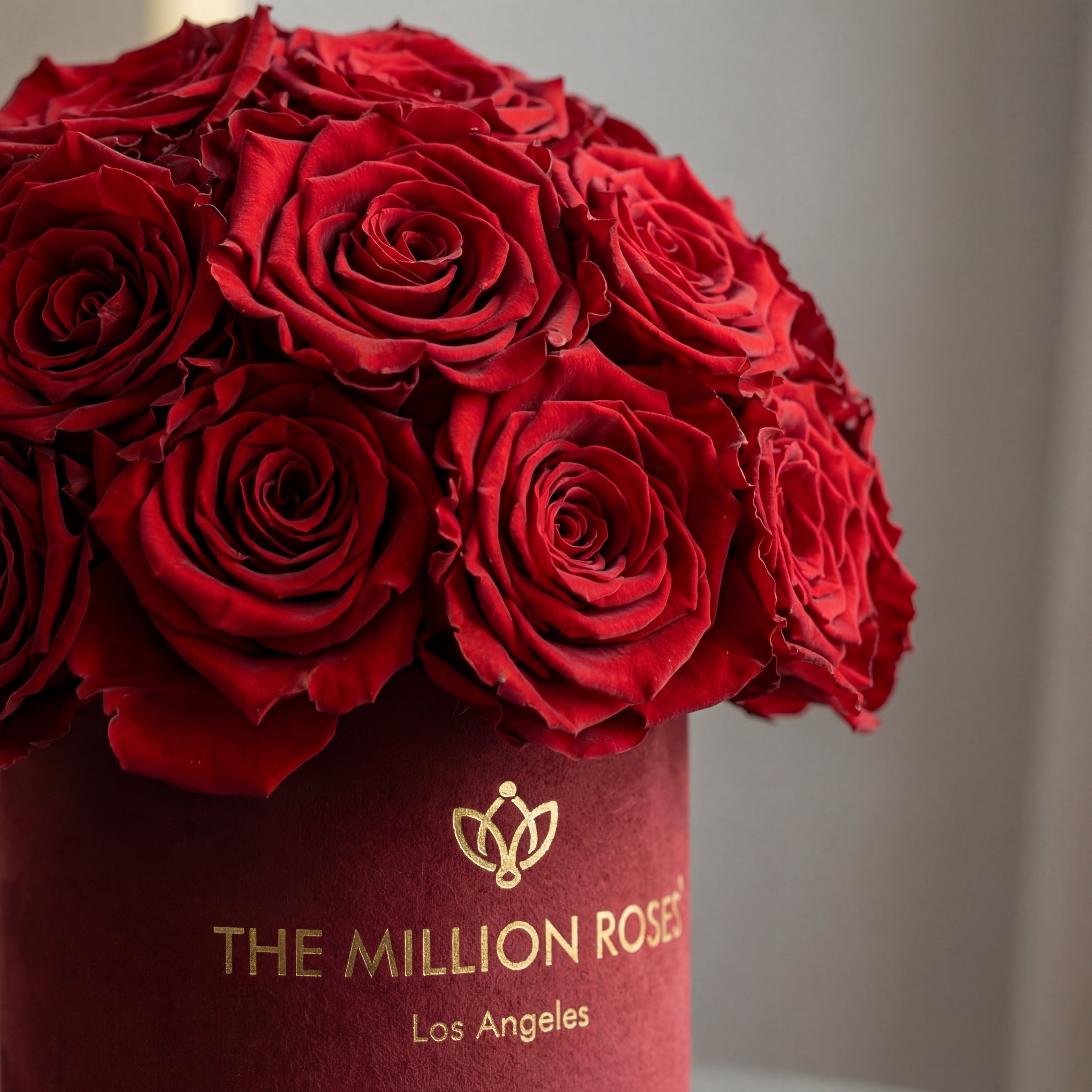 Essence Bordeaux Suede Superdome Box | Red Roses