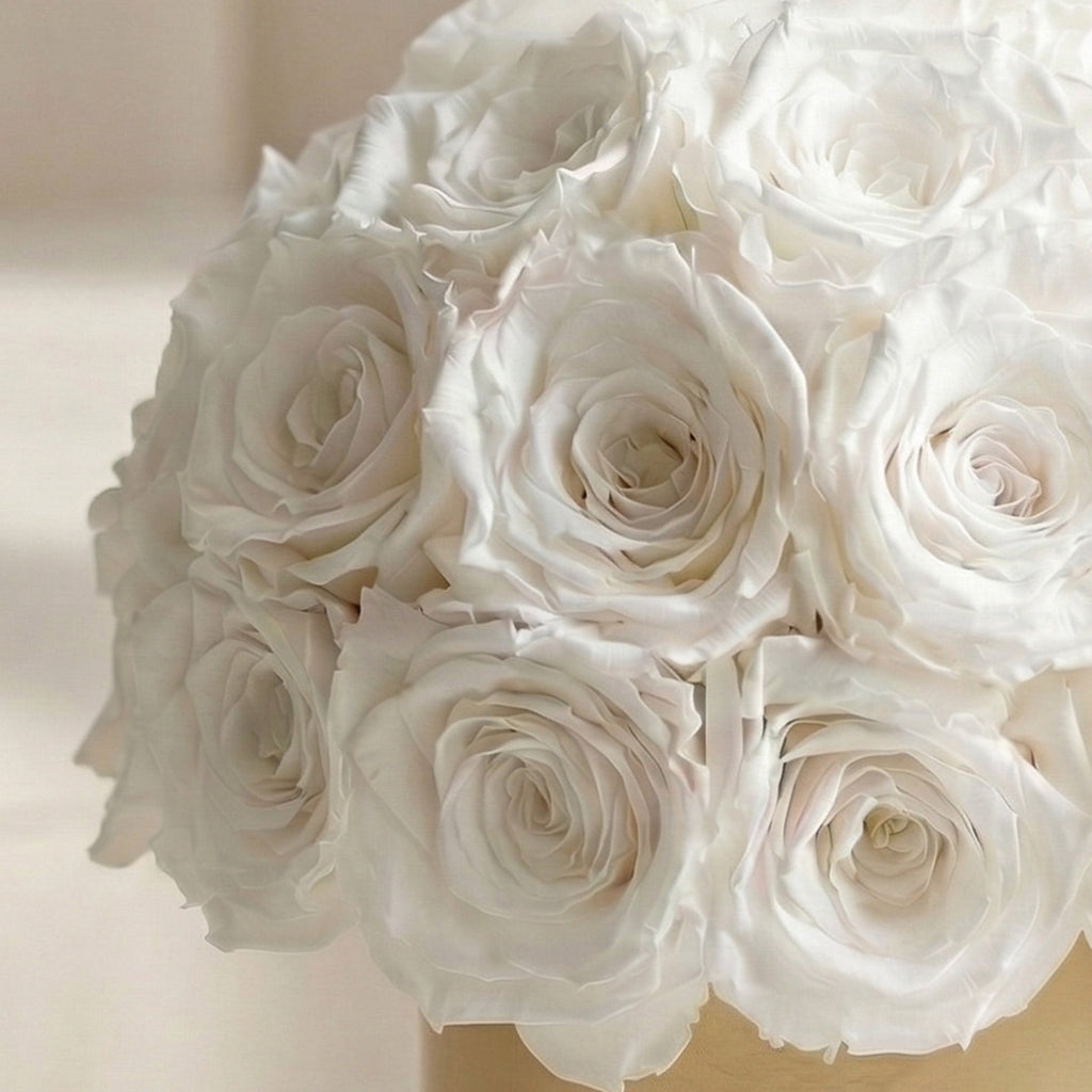 Essence Gold Superdome Box | White Roses
