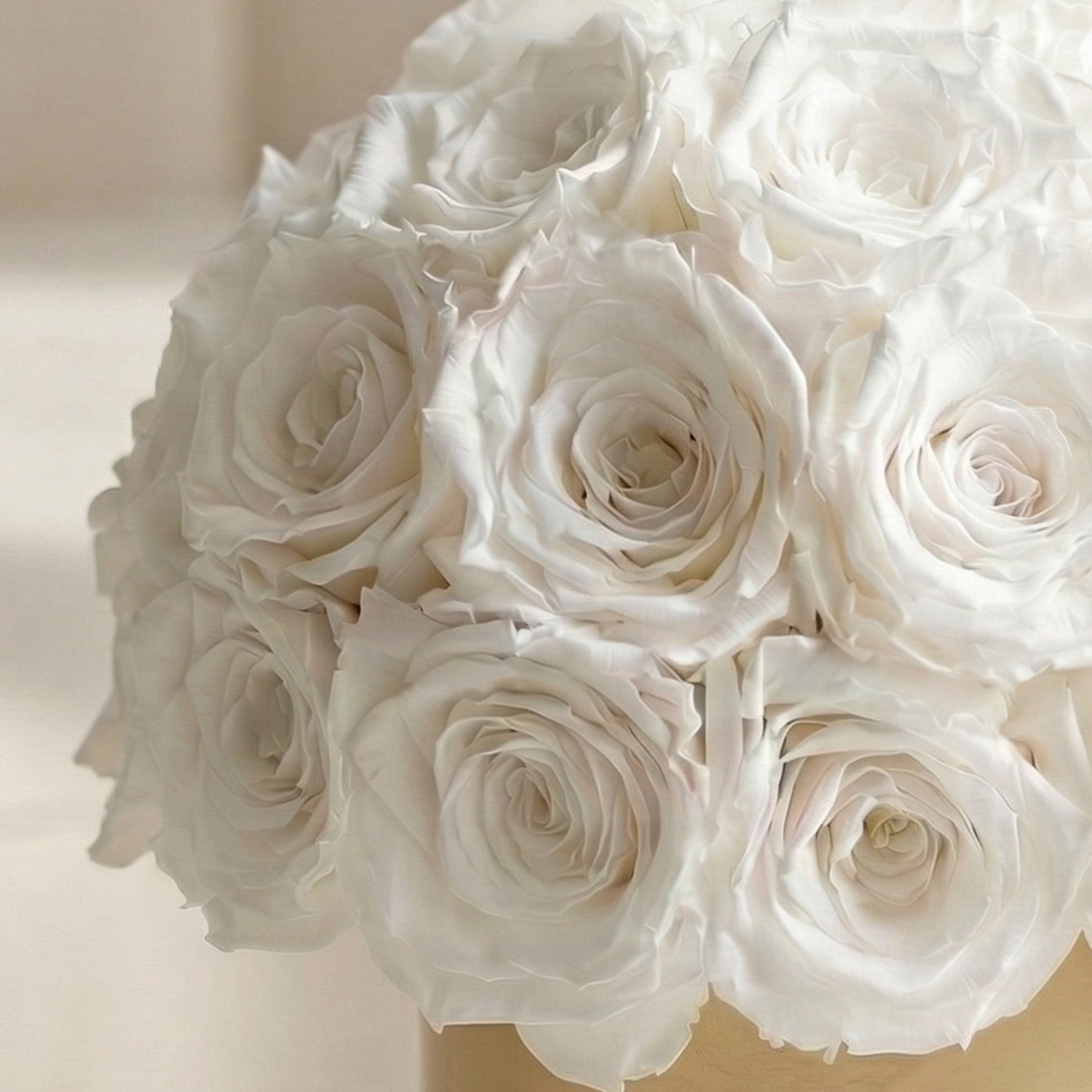 Essence Gold Superdome Box | White Roses