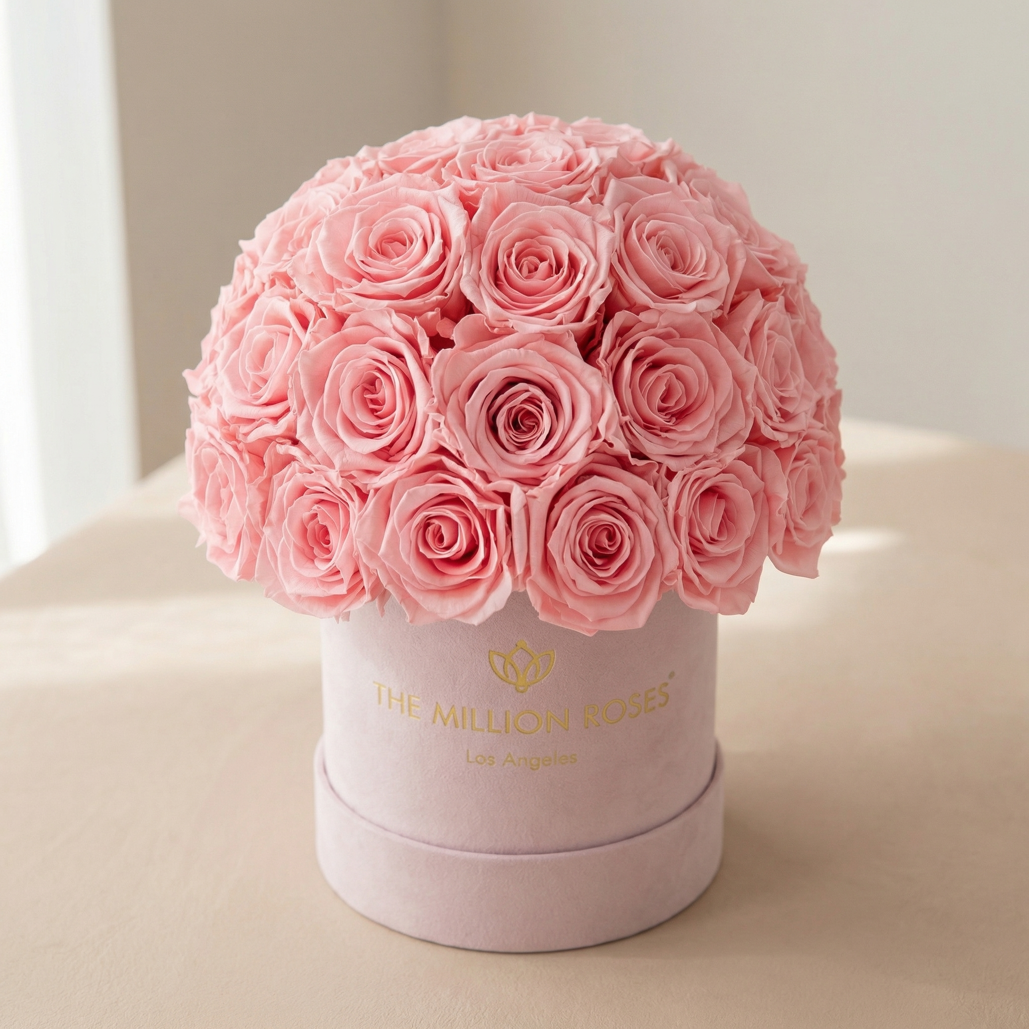 Essence Light Pink Suede Superdome Box | Light Pink Roses