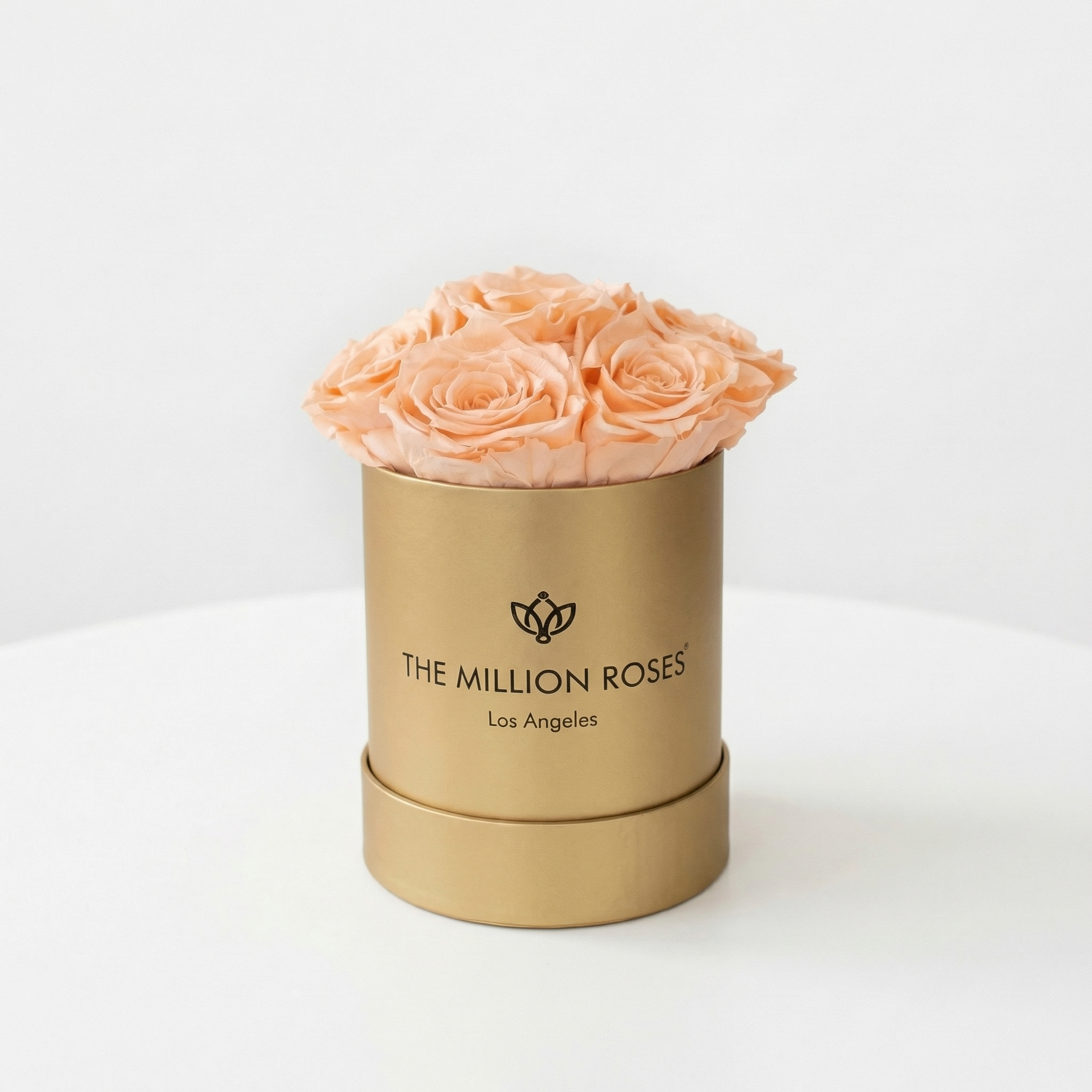 Essence Gold Box | Peach Roses