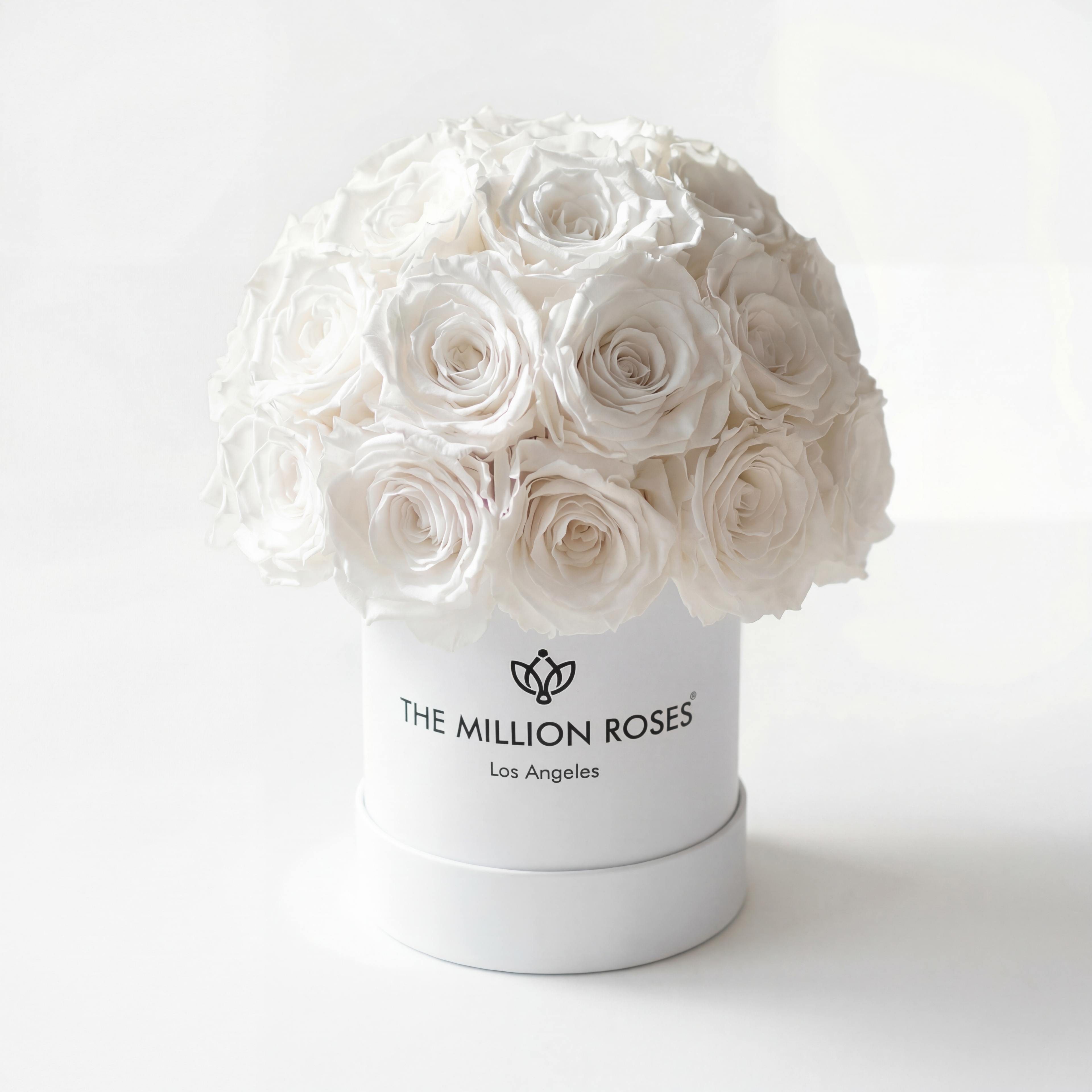 Essence White Superdome Box | White Roses