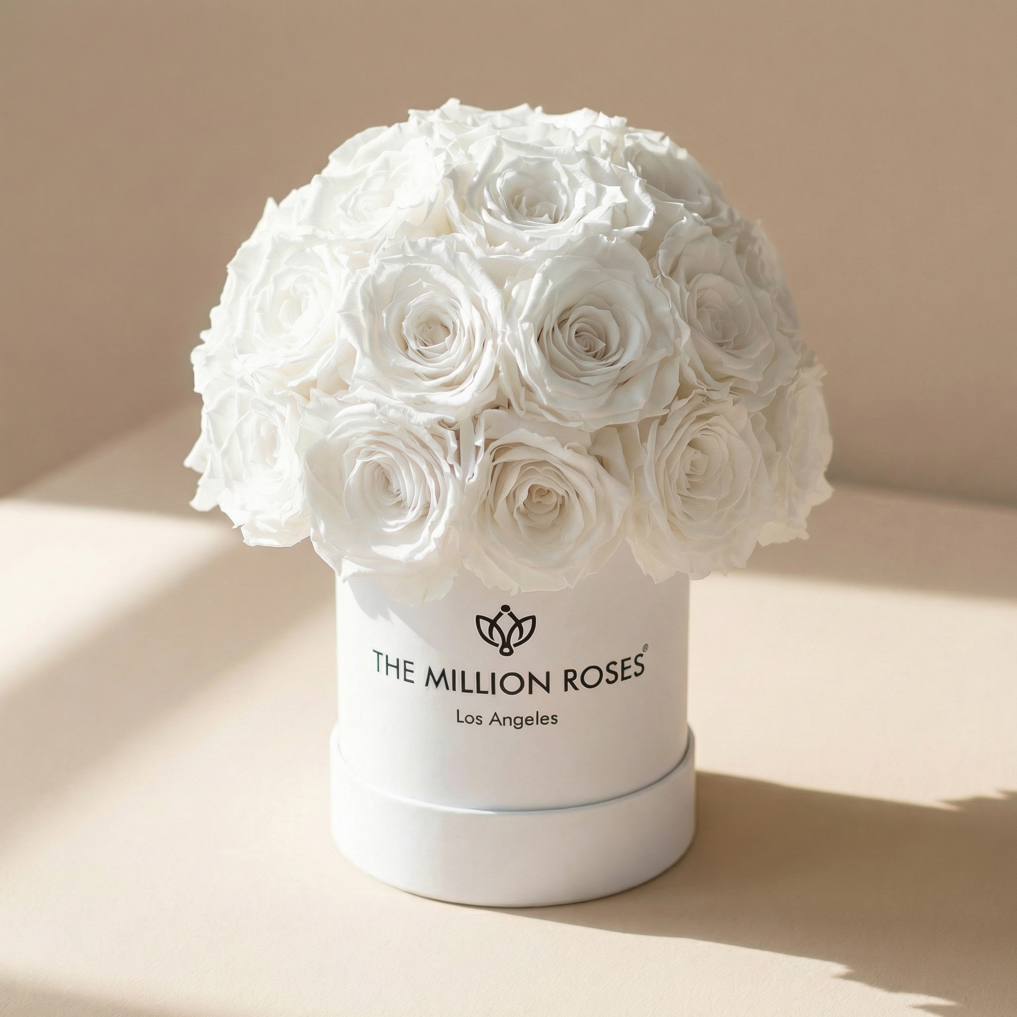 Essence White Superdome Box | White Roses