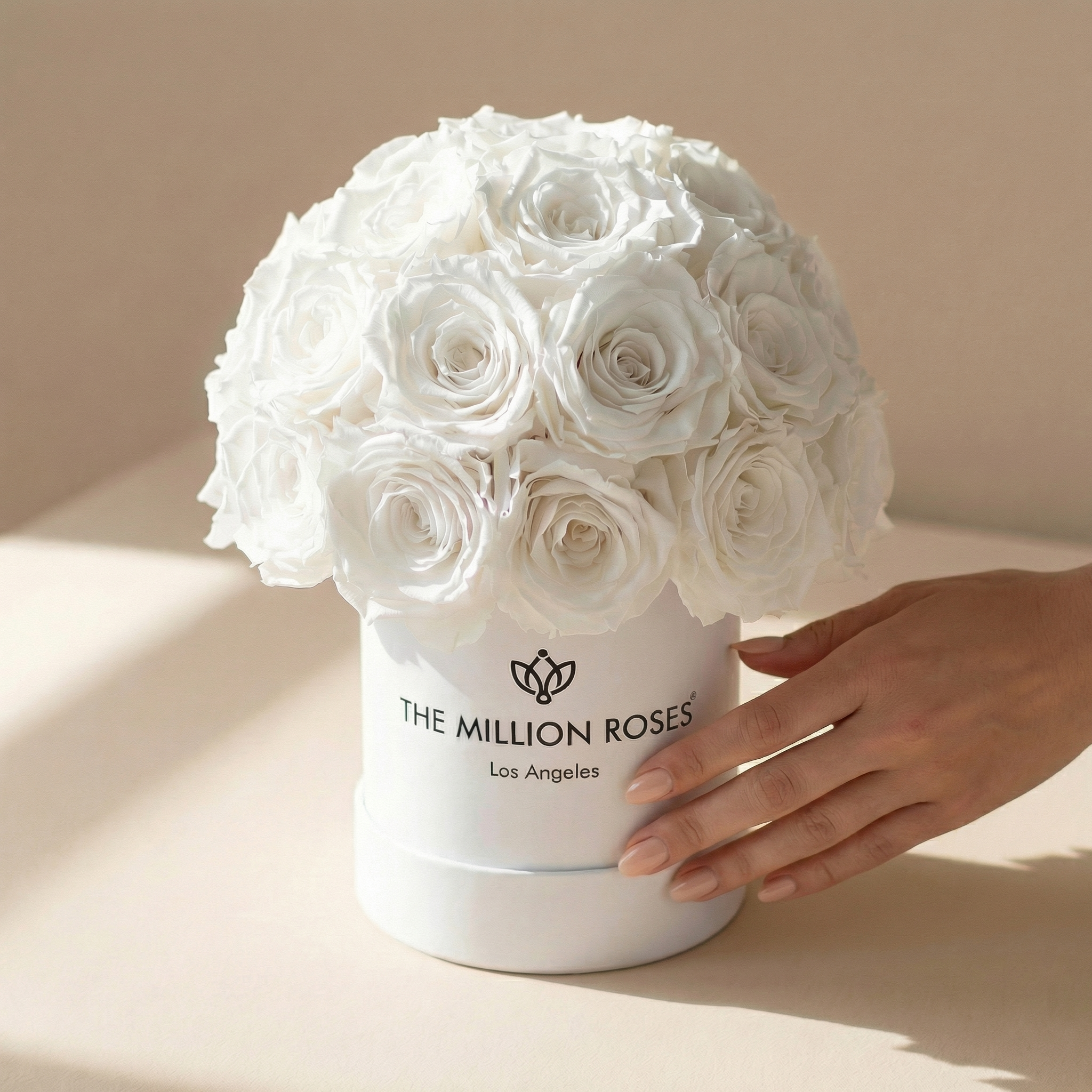 Essence White Superdome Box | White Roses