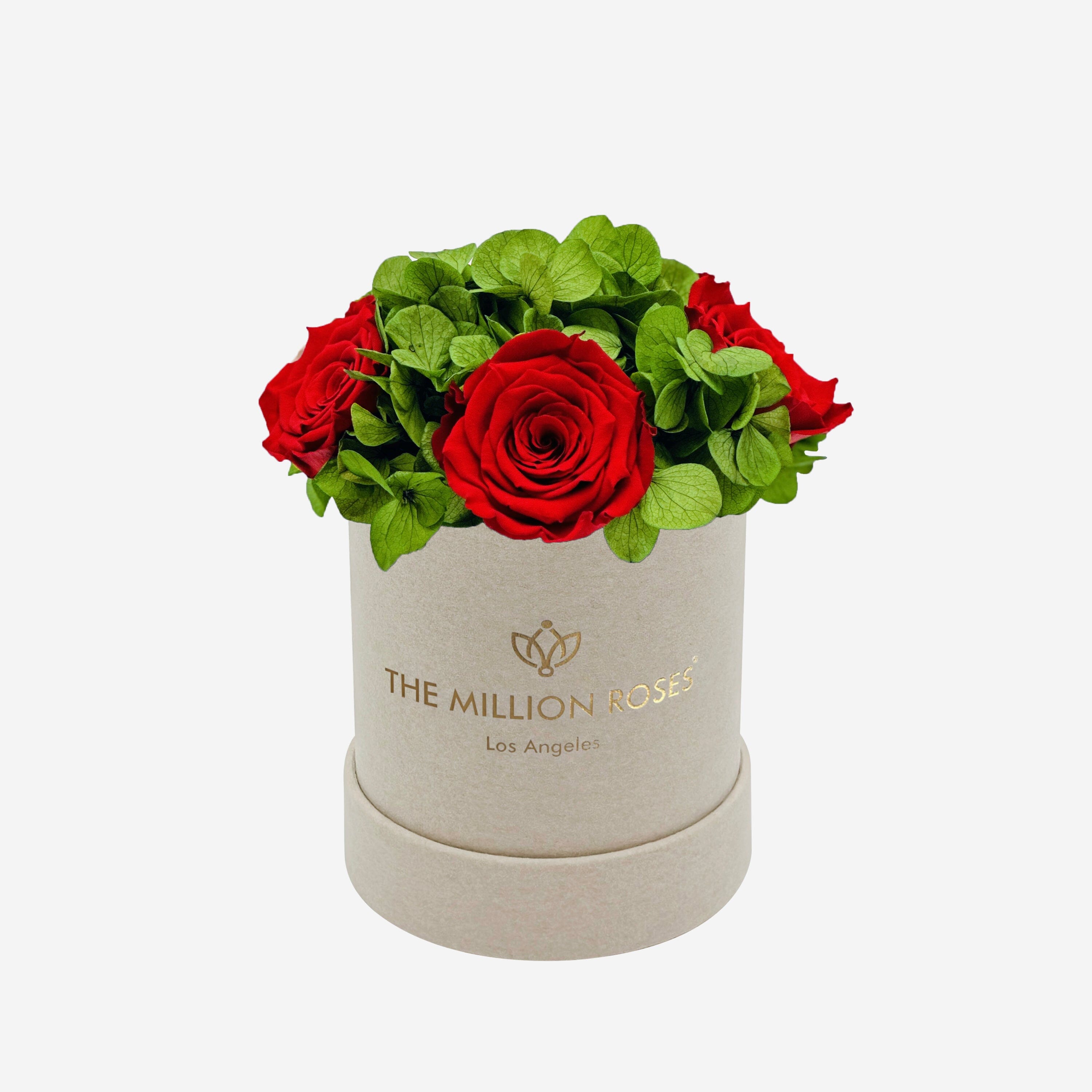 Essence Beige Suede Garden Box | Red Roses