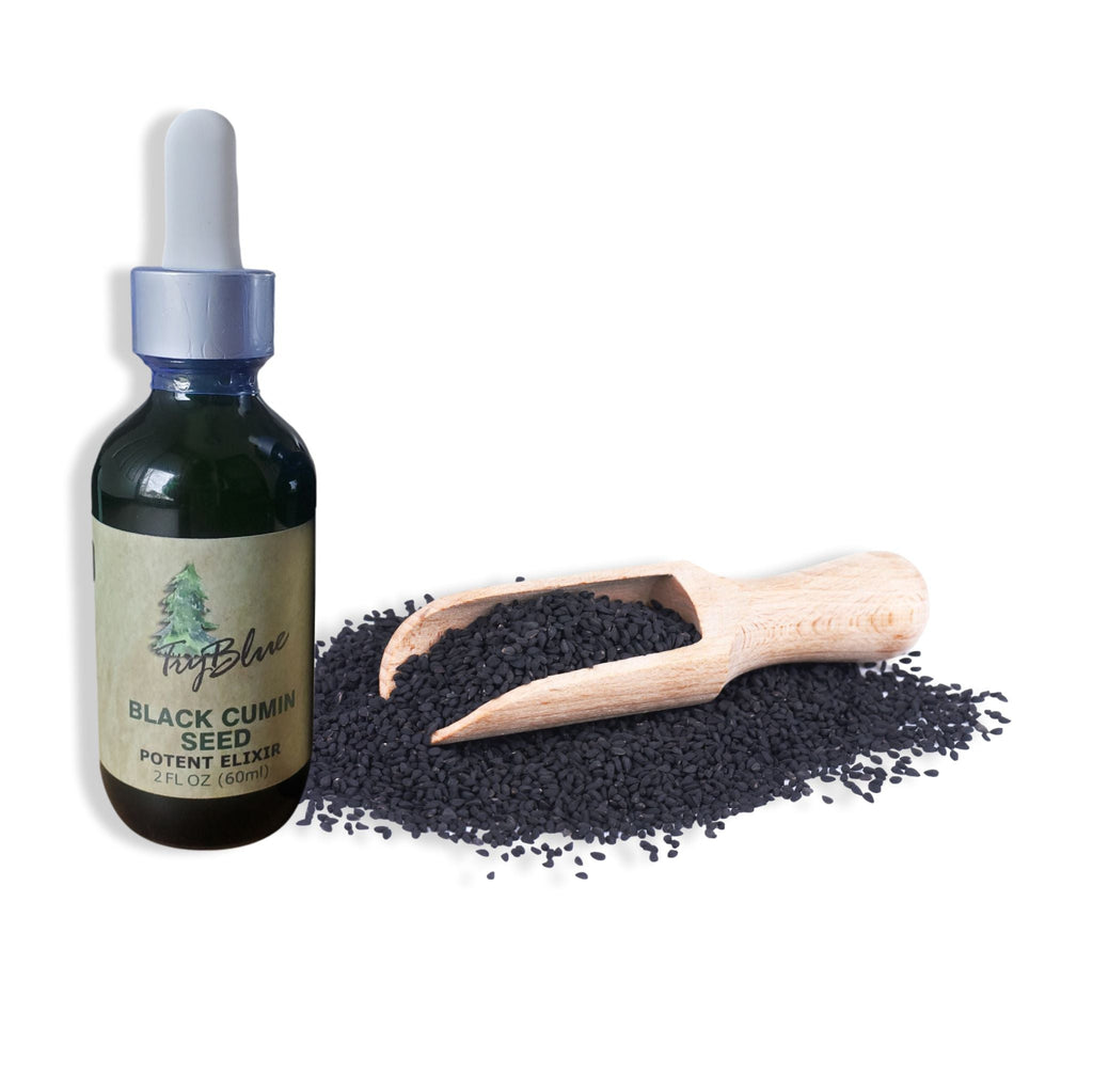 Bottle of black cumin seed extract with a scoop of seeds on a white background