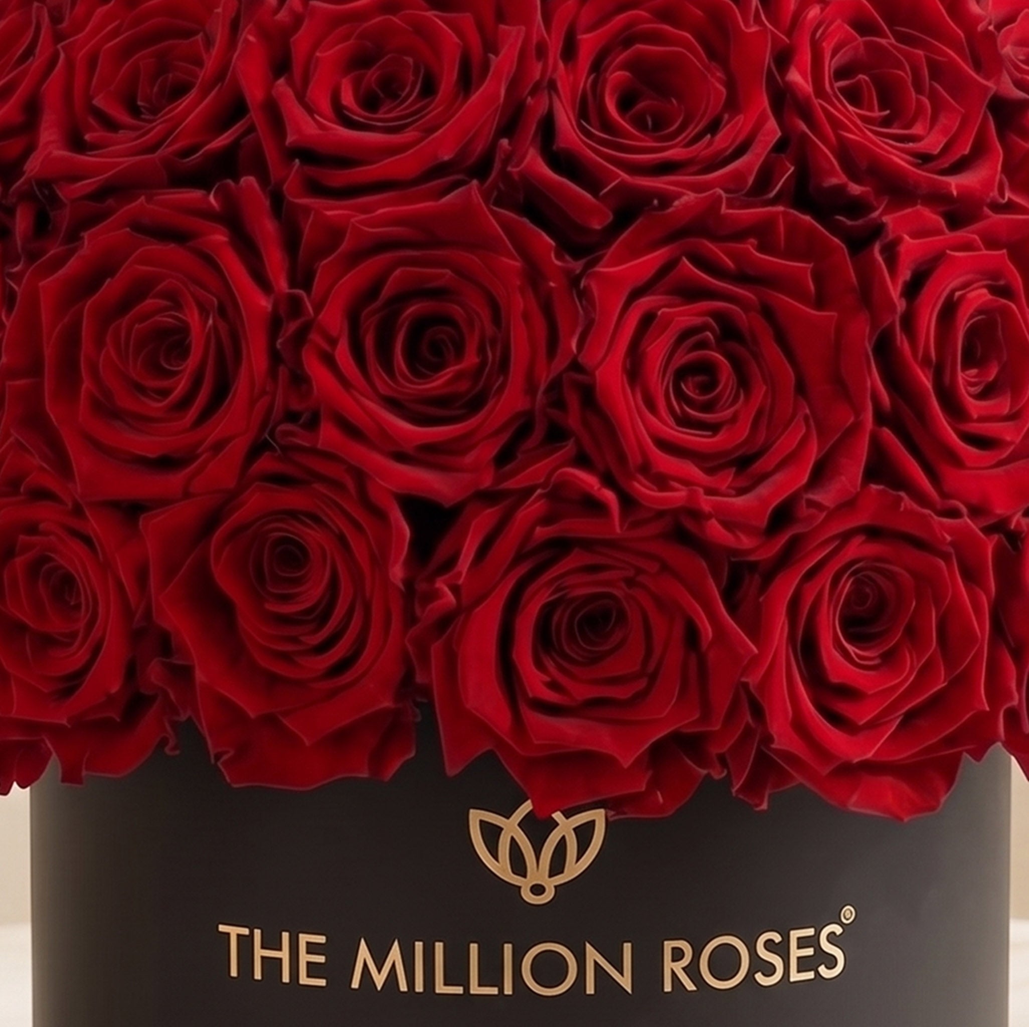 Classic Black Superdome Box | Red Roses