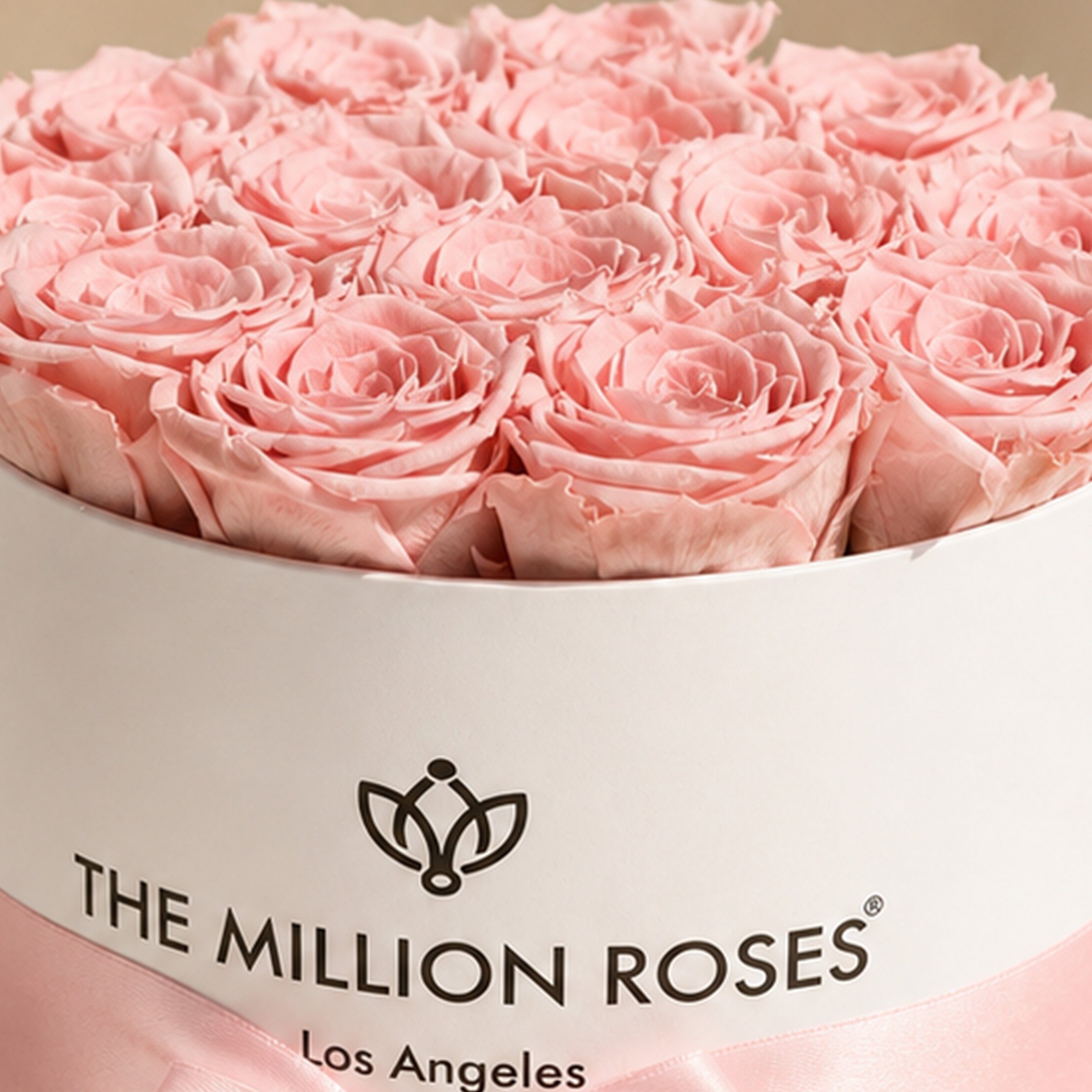 Classic White Box | Light Pink Roses