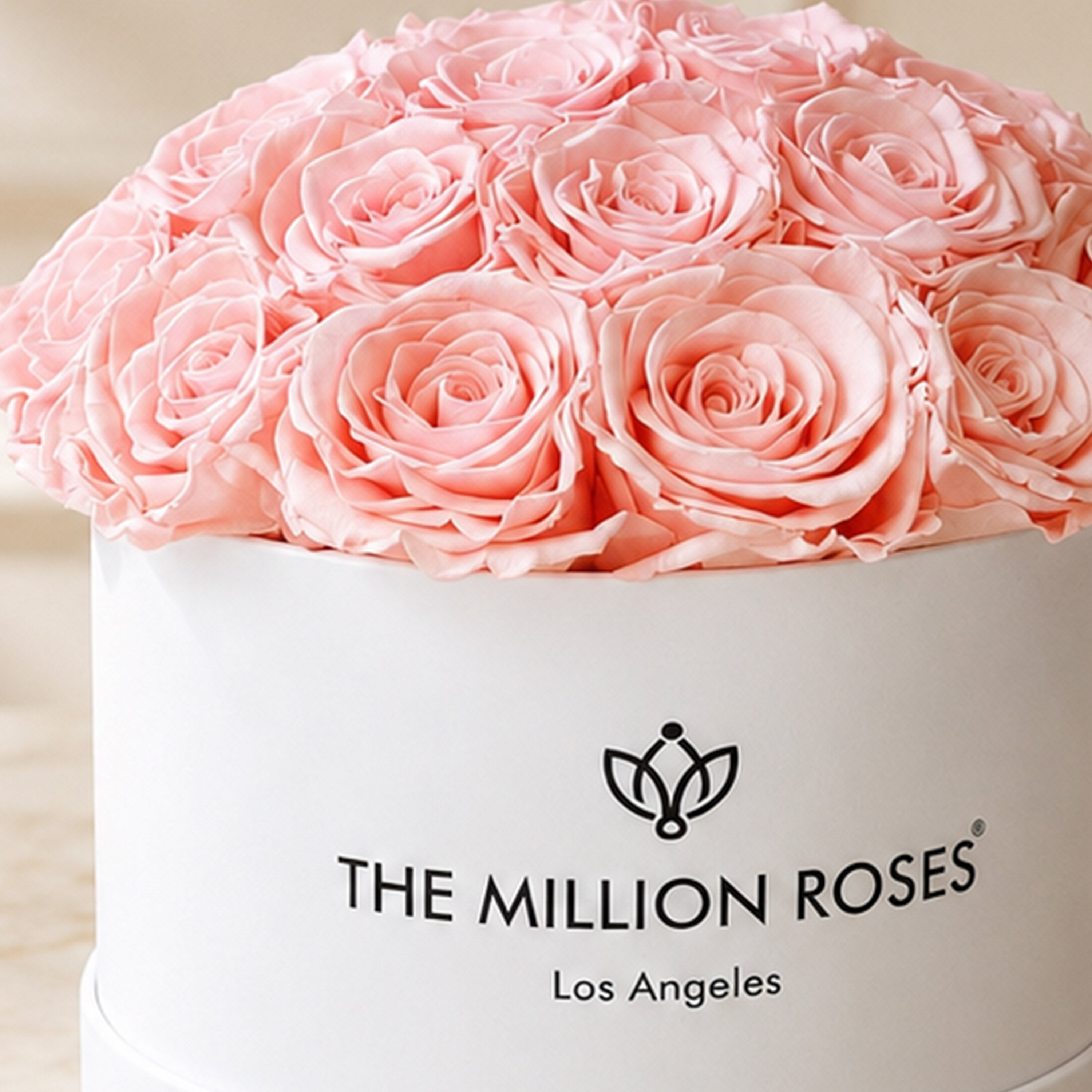 Classic White Dome Box | Light Pink Roses