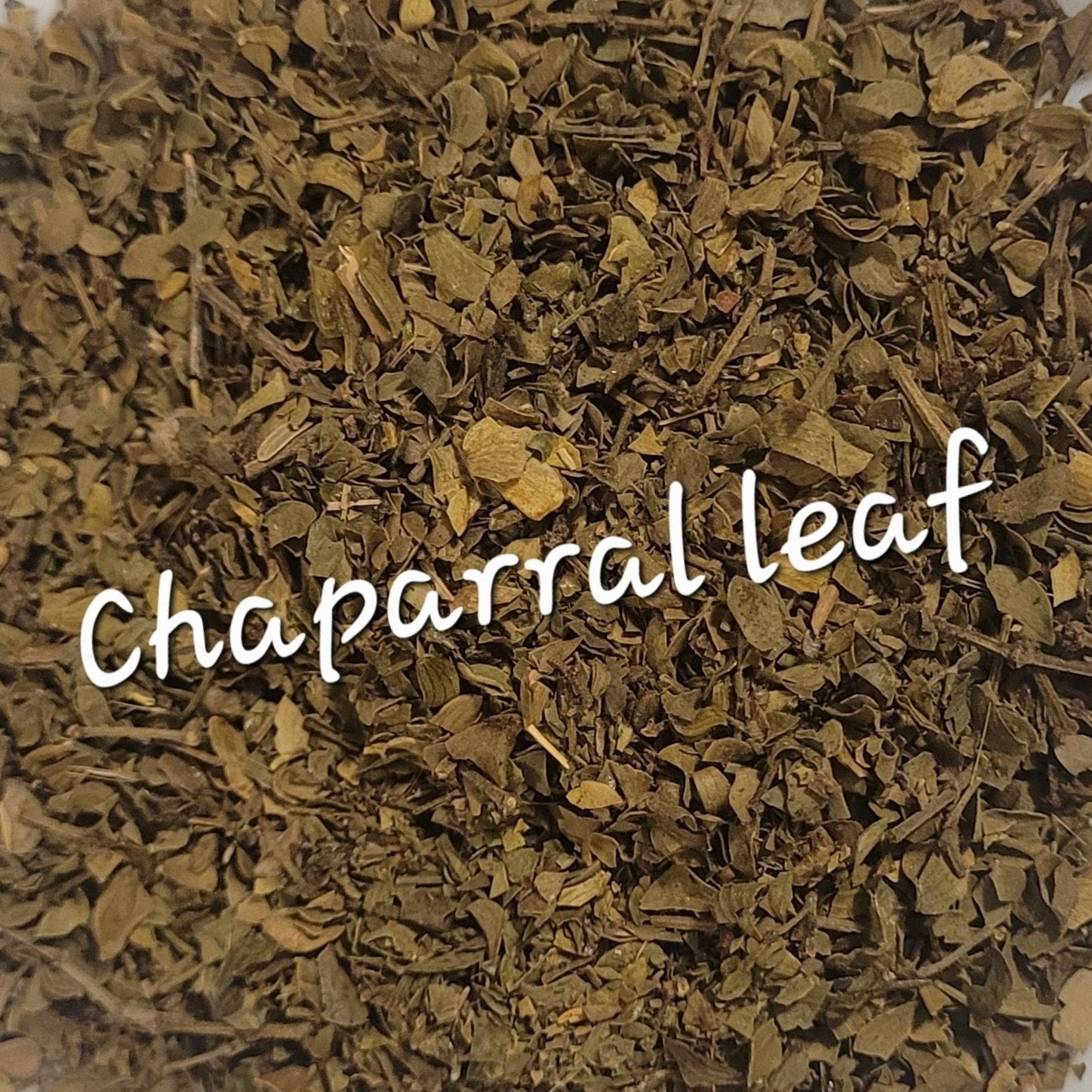 Chaparral Leaf