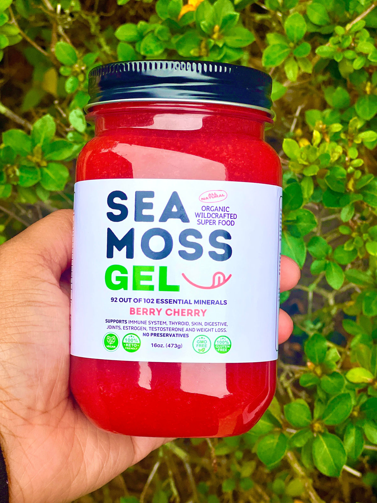 Organic Berry Cherry Sea Moss Gel in 16 oz jar made with wildcrafted St. Lucia sea moss, Dr. Sebi inspired superfood, rich in 92 essential minerals, vegan, gluten-free, non-GMO wellness supplement for immune, digestive, thyroid, and skin support.
