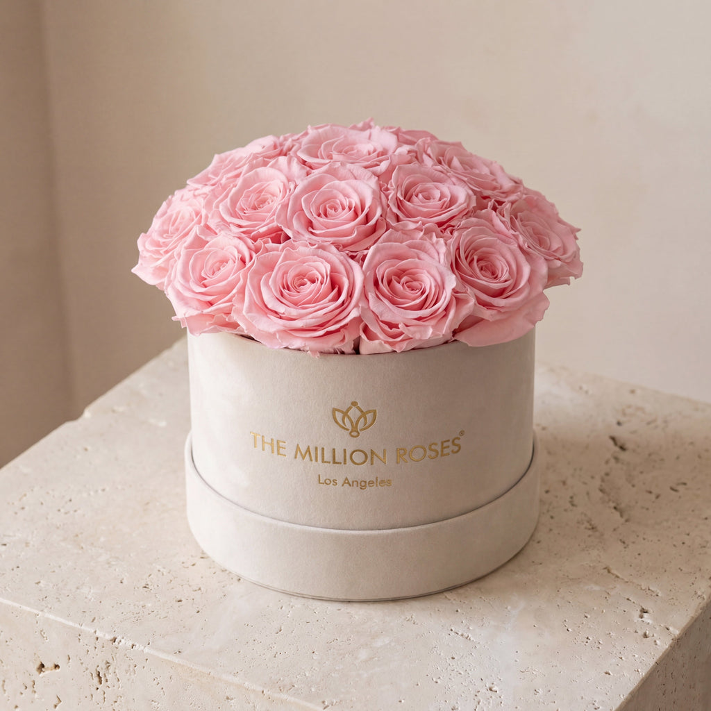 Classic Beige Suede Dome Box | Light Pink Roses