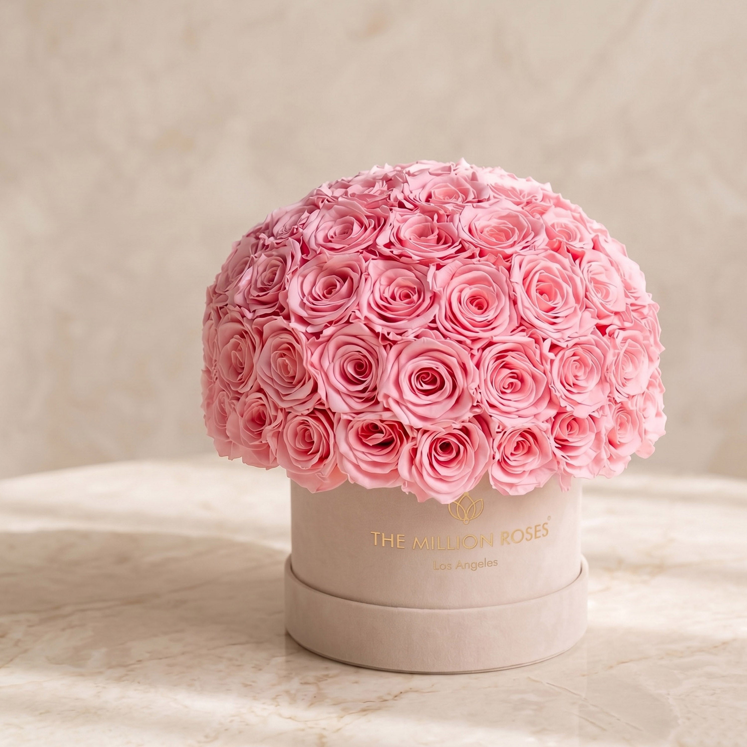 Classic Beige Suede Superdome Box | Light Pink Roses