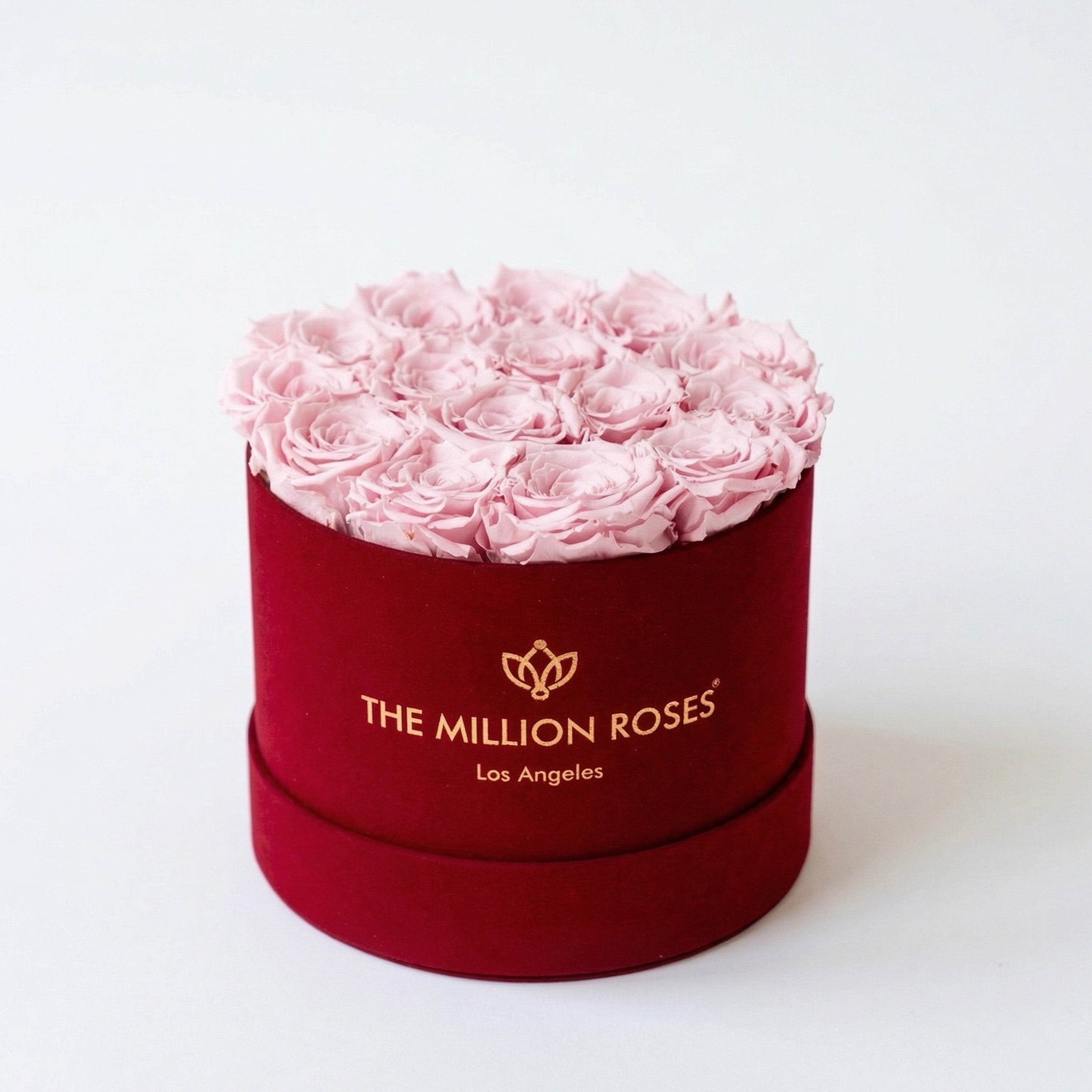 Classic Bordeaux Suede Box | Light Pink Roses