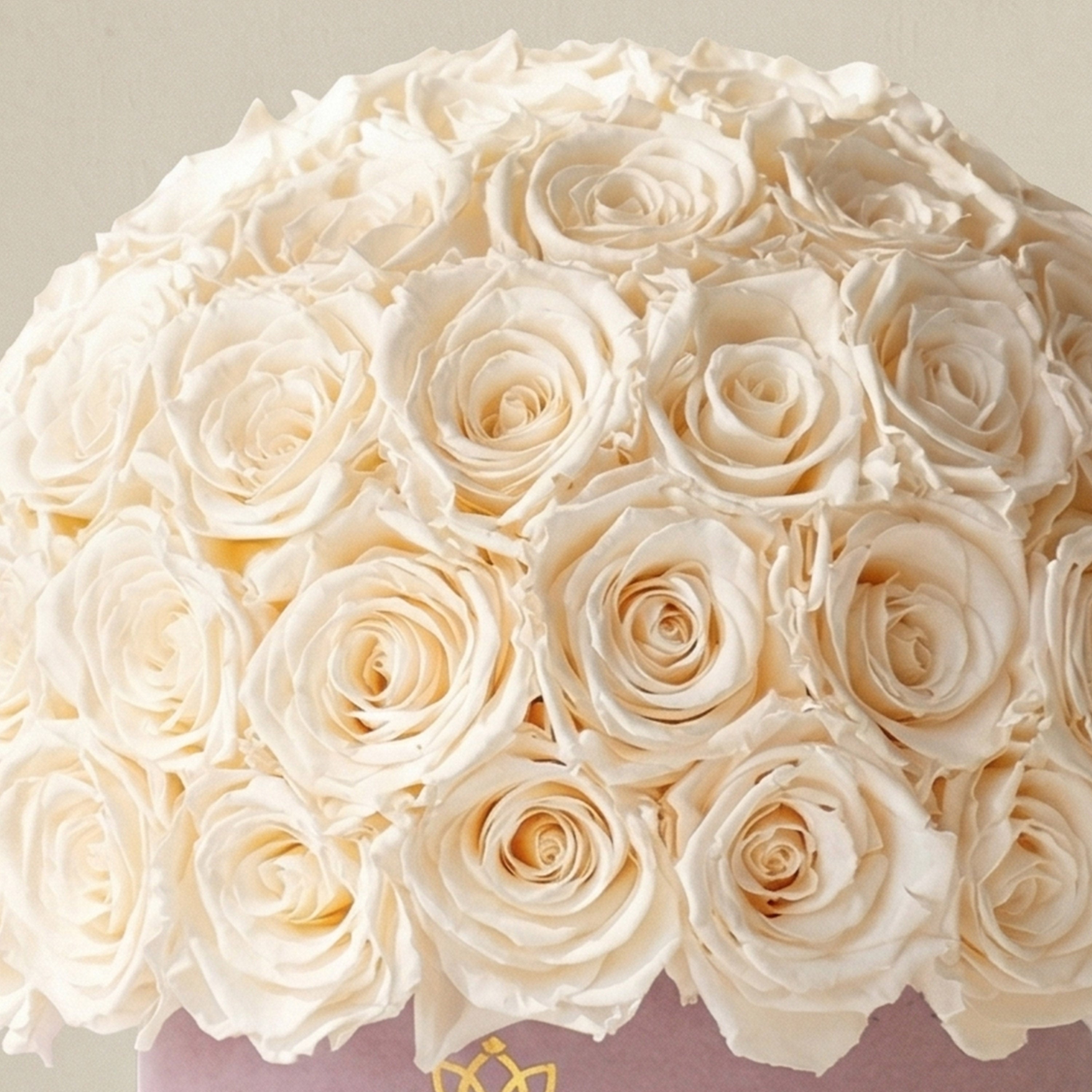 Classic Light Pink Suede Superdome Box | White Roses