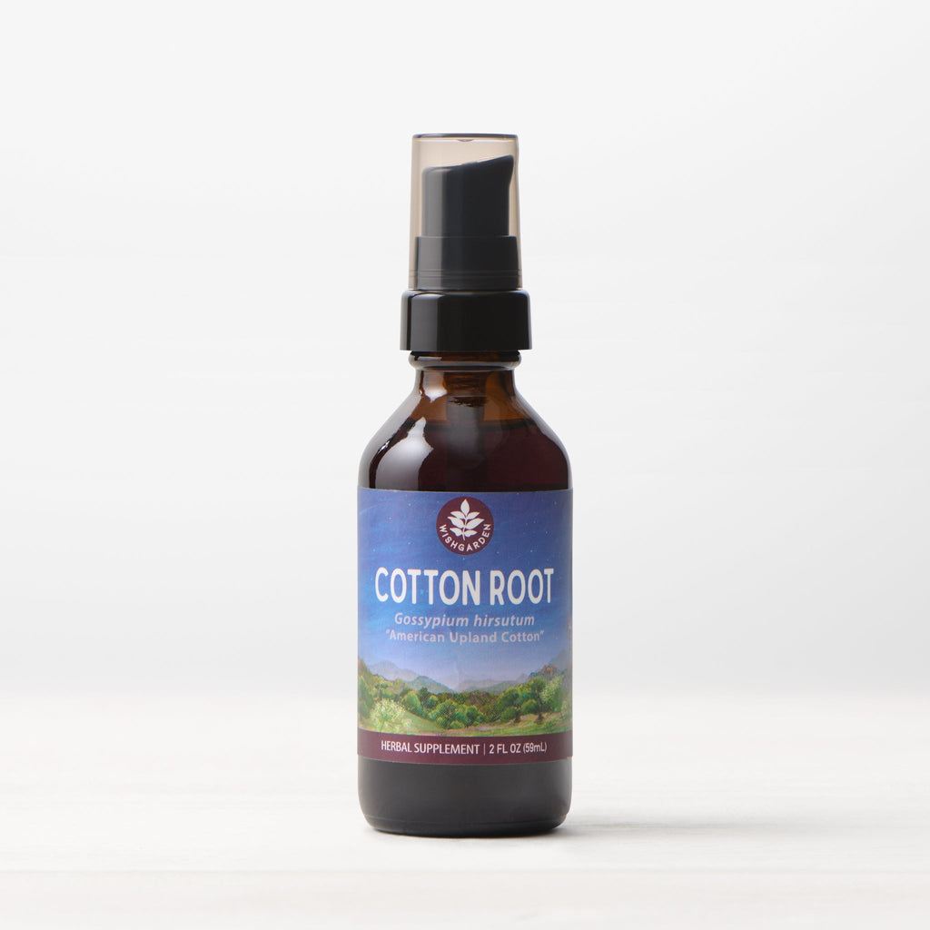 Bottle of Cotton Root supplement on a white background