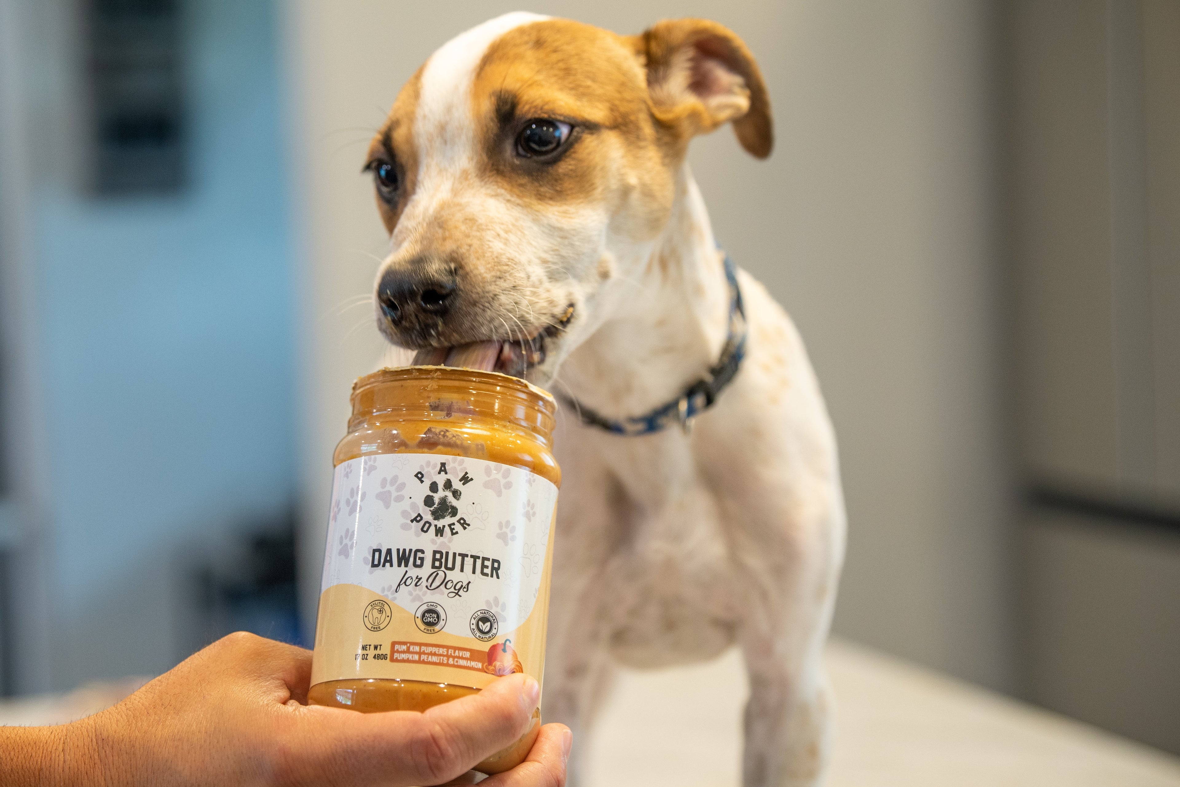 Dog holding a jar of 'Dawg Butter' pet product with a person's hand