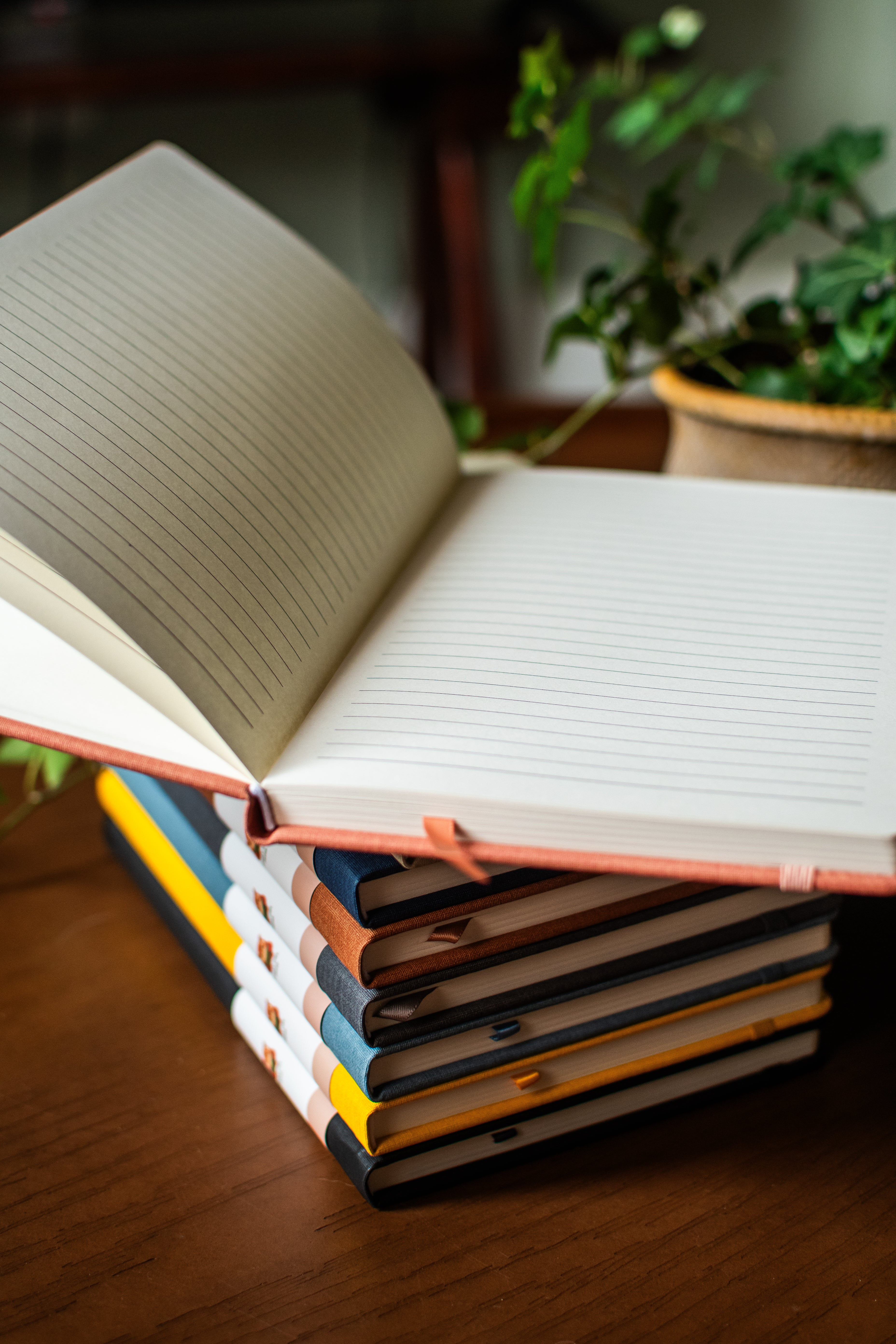 8 Colorful Journals