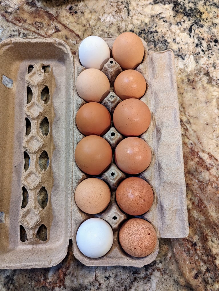 Carton of fresh free-range brown and white chicken eggs in a recyclable egg carton on a granite countertop, sourced from Moses Lake, Washington.