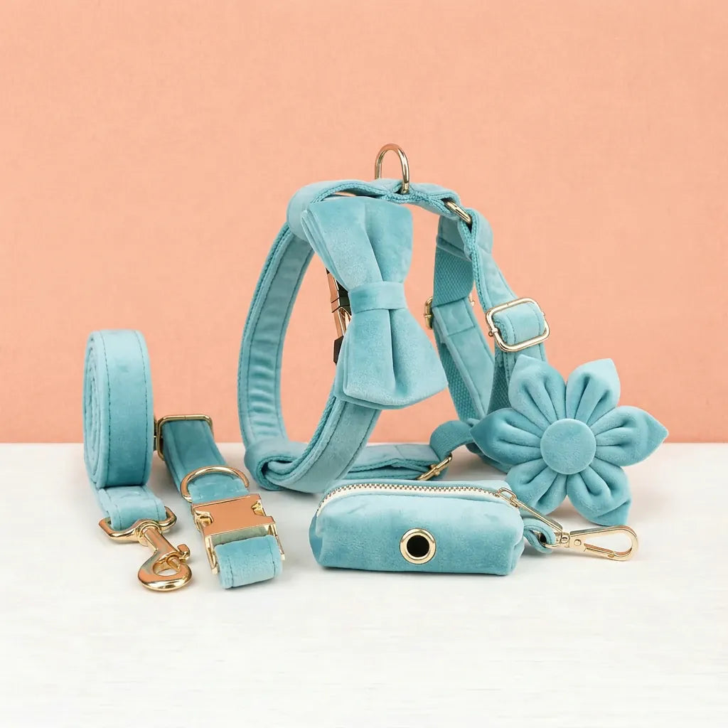 Turquoise Stone Velvet Dog Harness Set