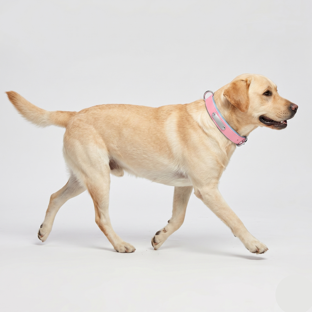 Breathable Cotton Dog Collar