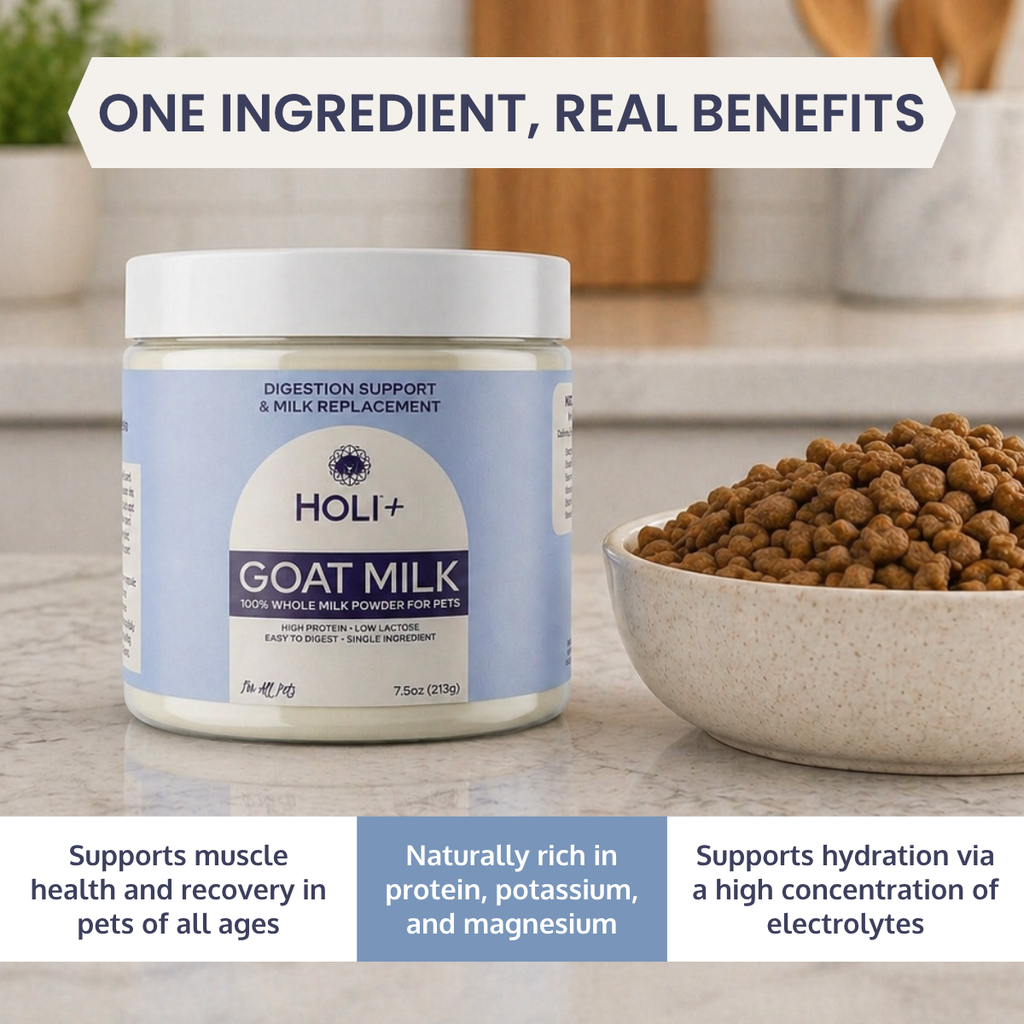 HOLI Powdered Goat Milk for Dogs & Cats | Single-Ingredient Topper & Milk Replacer
