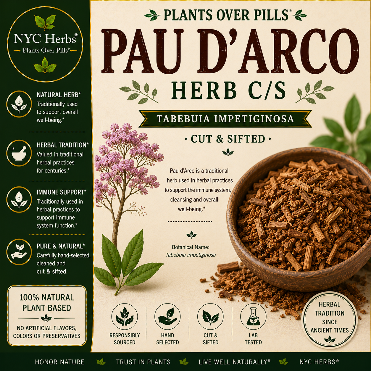 Pau d'Arco | Immune Strength & Fungal Defense