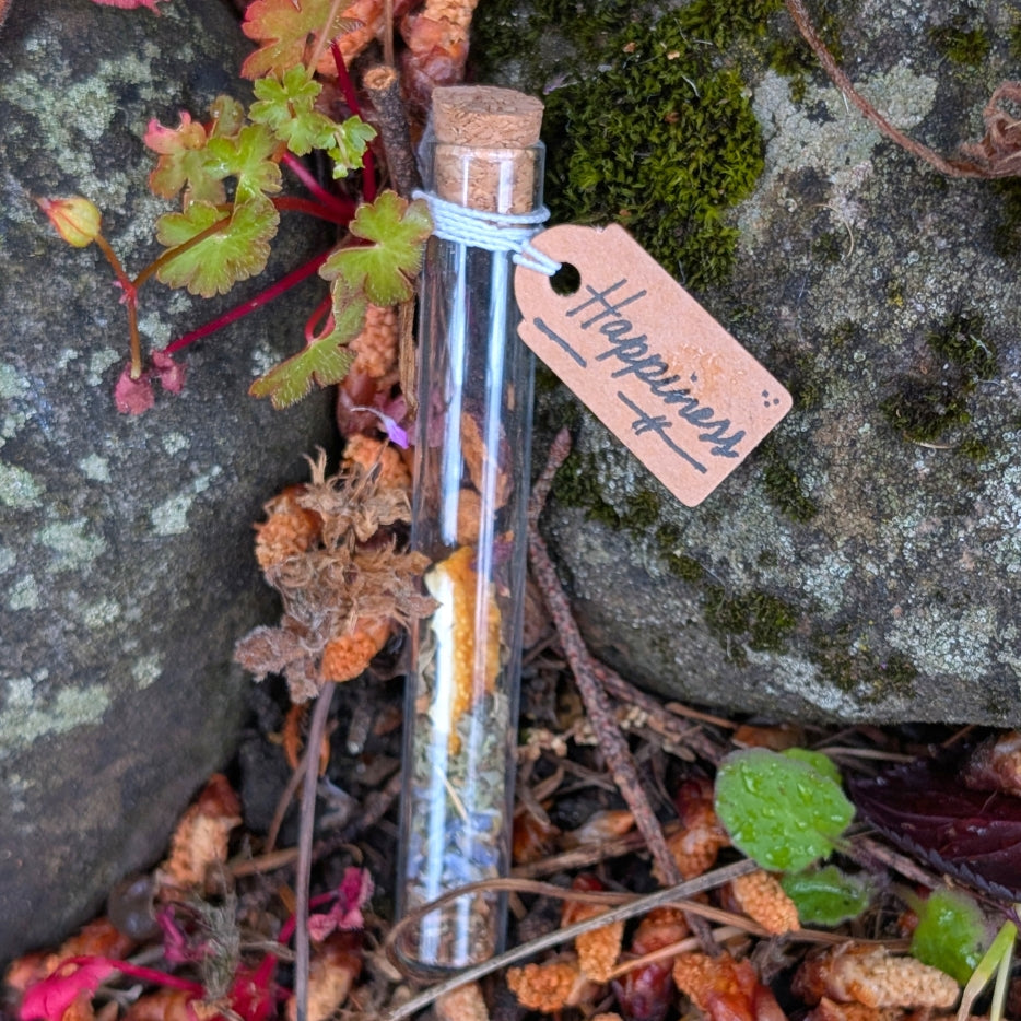 Small glass bottle with cork stopper on a natural background with a 'Happiness' tag.