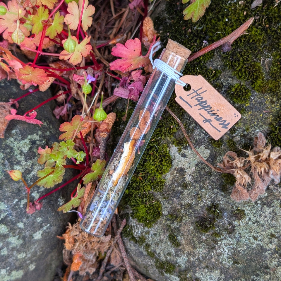 Glass tube with a tag labeled 'Happiness' surrounded by natural elements on a stone surface. Happiness Spell Vial