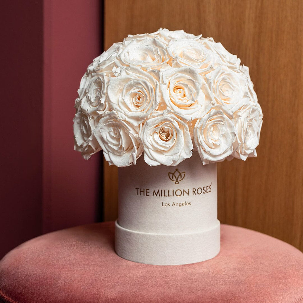 Essence Beige Suede Superdome Box | White Roses