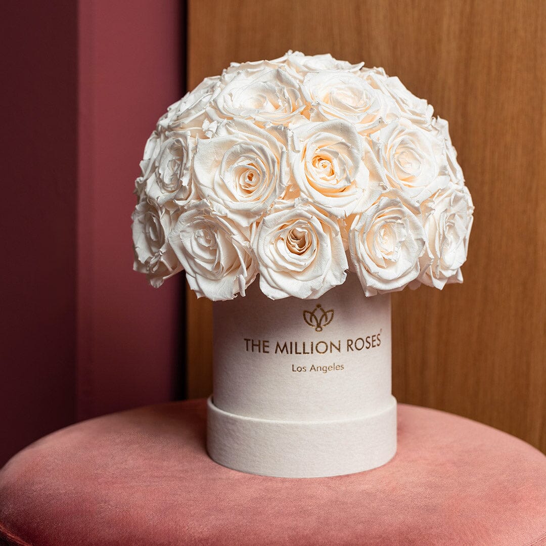 Essence Beige Suede Superdome Box | White Roses