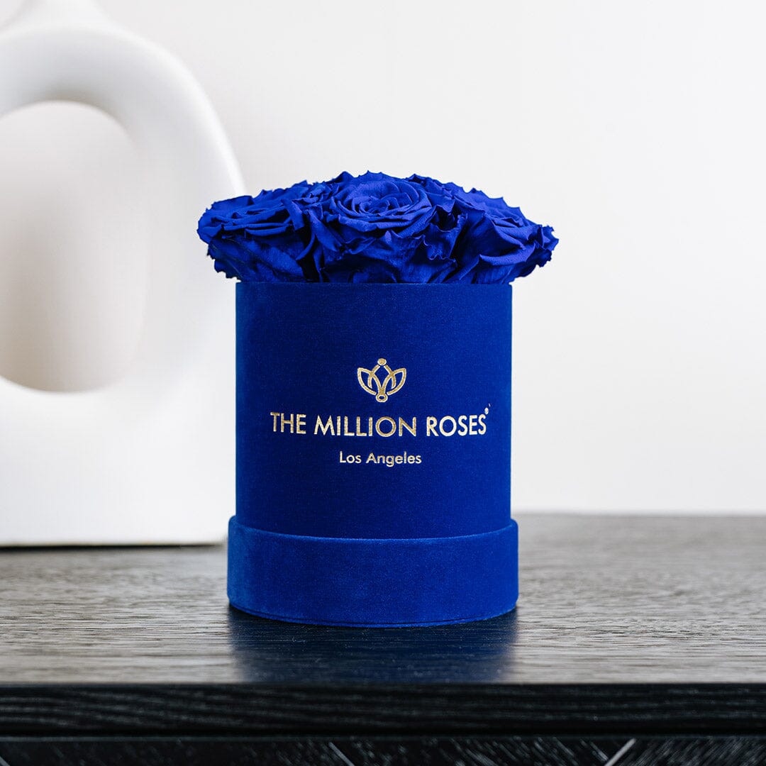 Essence Royal Blue Suede Box | Royal Blue Roses