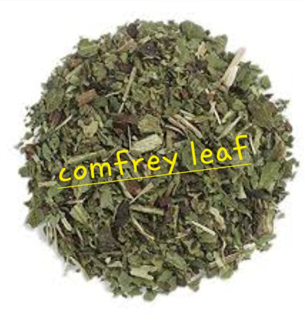 Comfrey Leaf | Tissue Repair & Bone Support