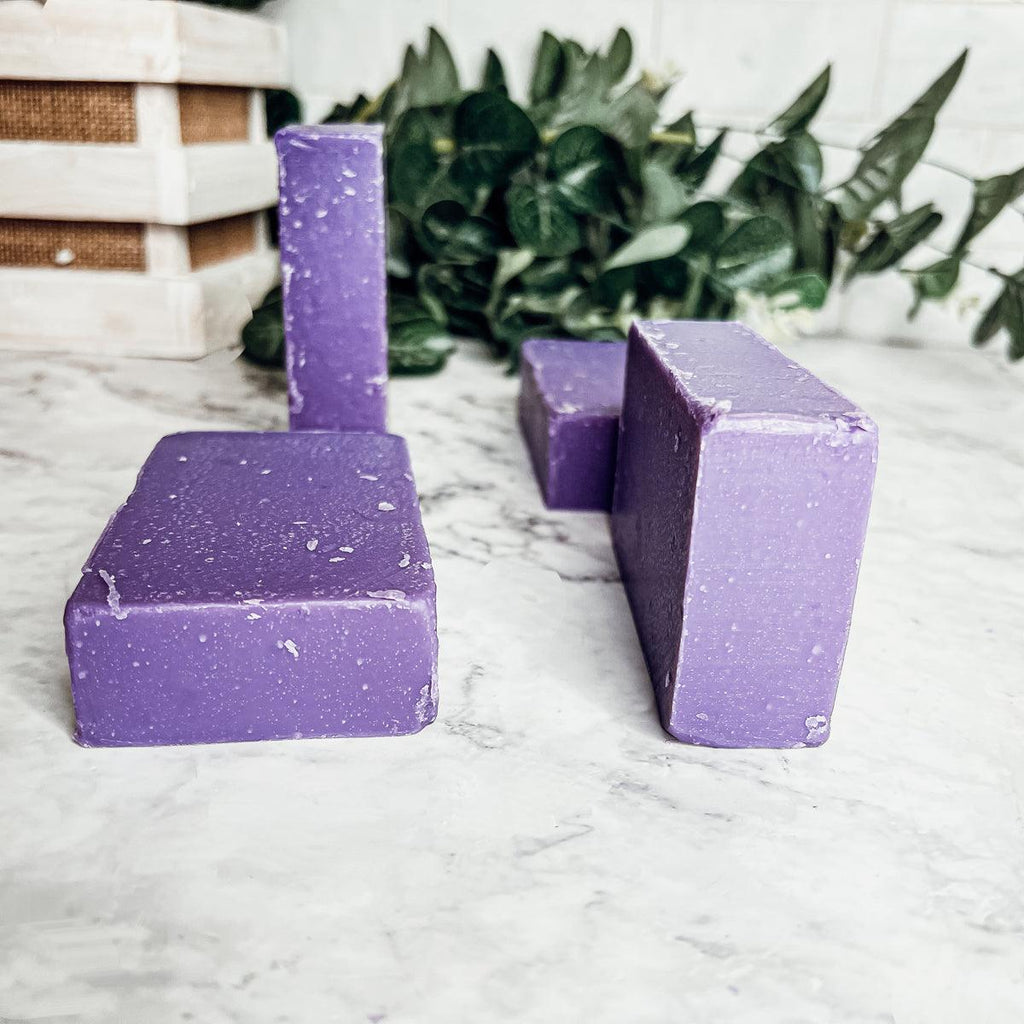 Purple Aloe & Floral handmade bar soap bars with soothing aloe vera and plumeria floral fragrance, moisturizing natural skincare bath soap for women and men
