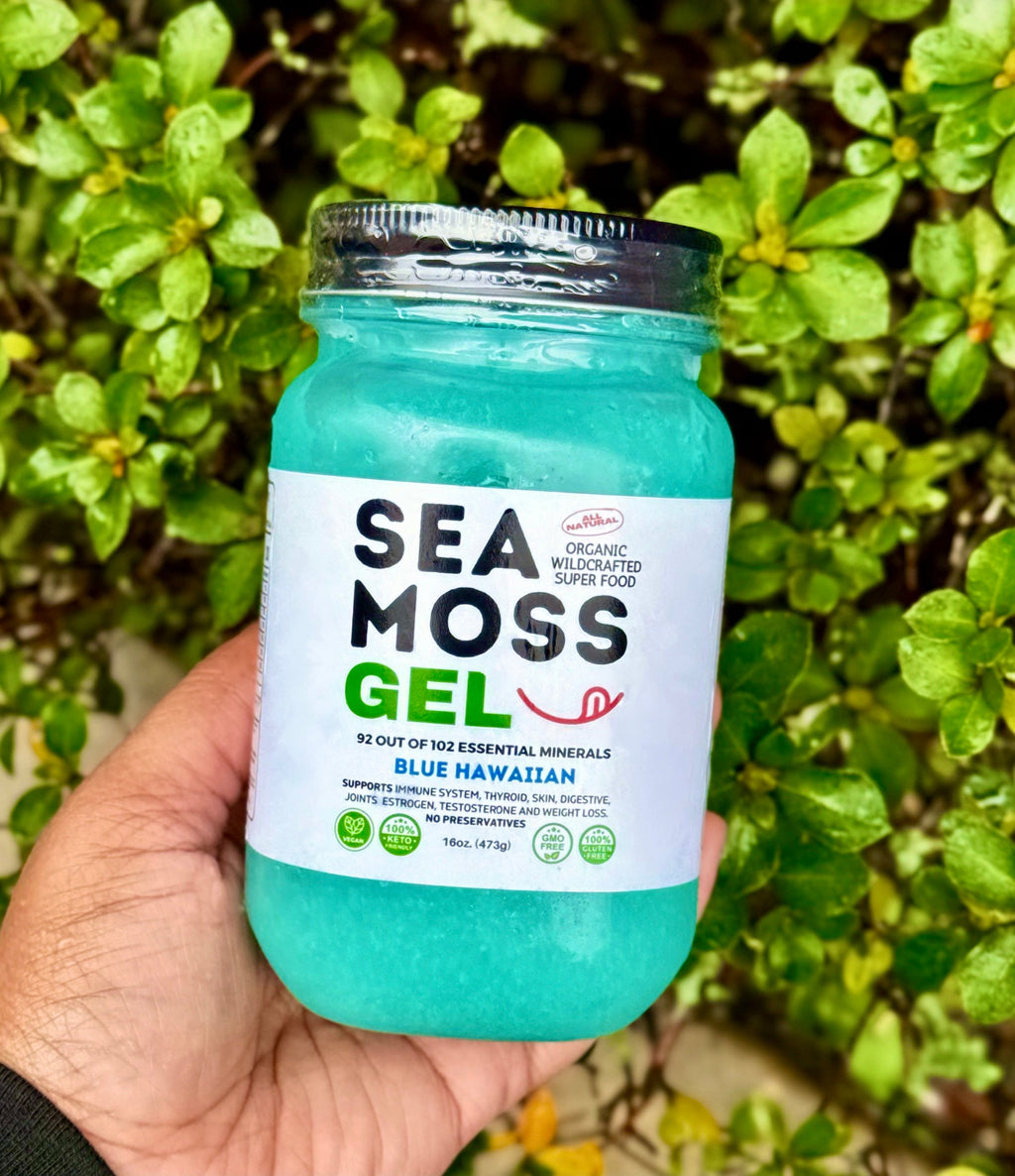 Blue Hawaiian organic wildcrafted sea moss gel jar, raw vegan superfood supplement with essential minerals for immune, digestive, energy and wellness support