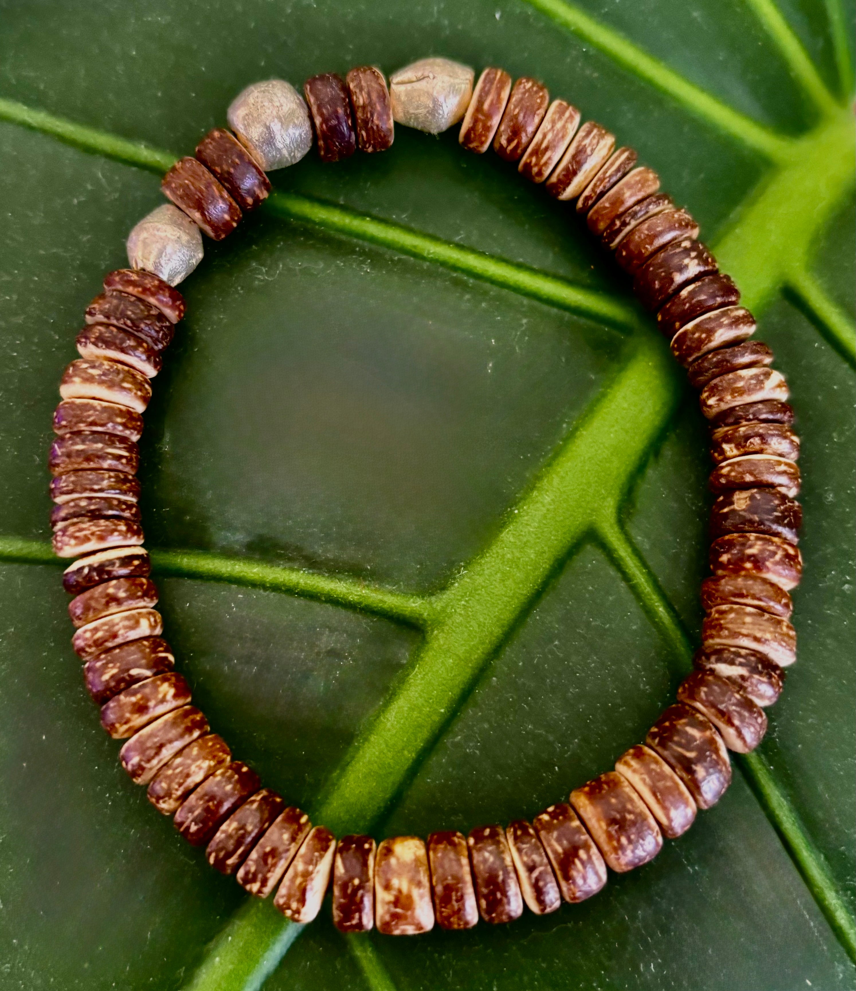 Rooted Resolve Bracelet (8" Large Wrists)