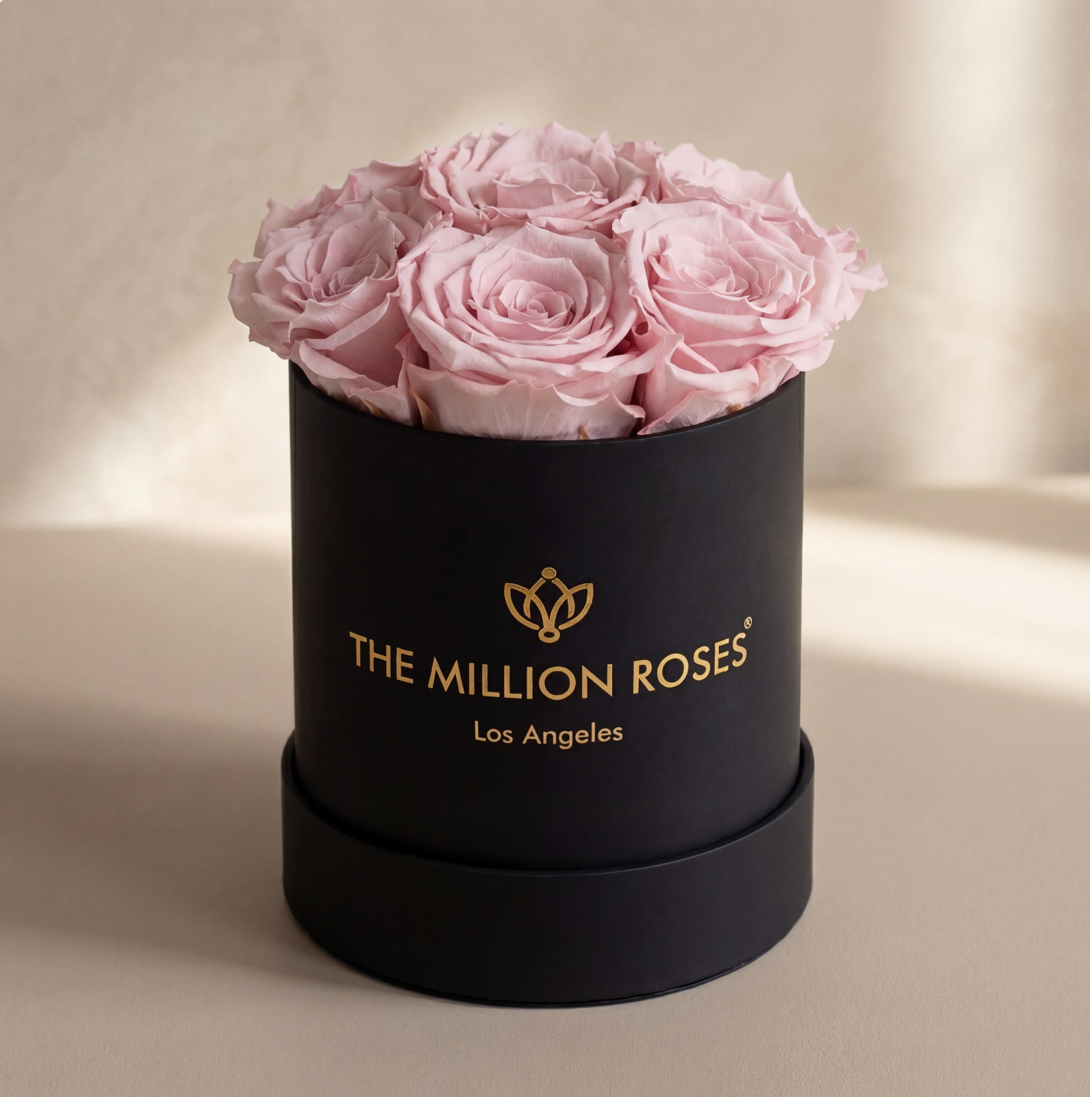 Essence Black Box | Light Pink Roses