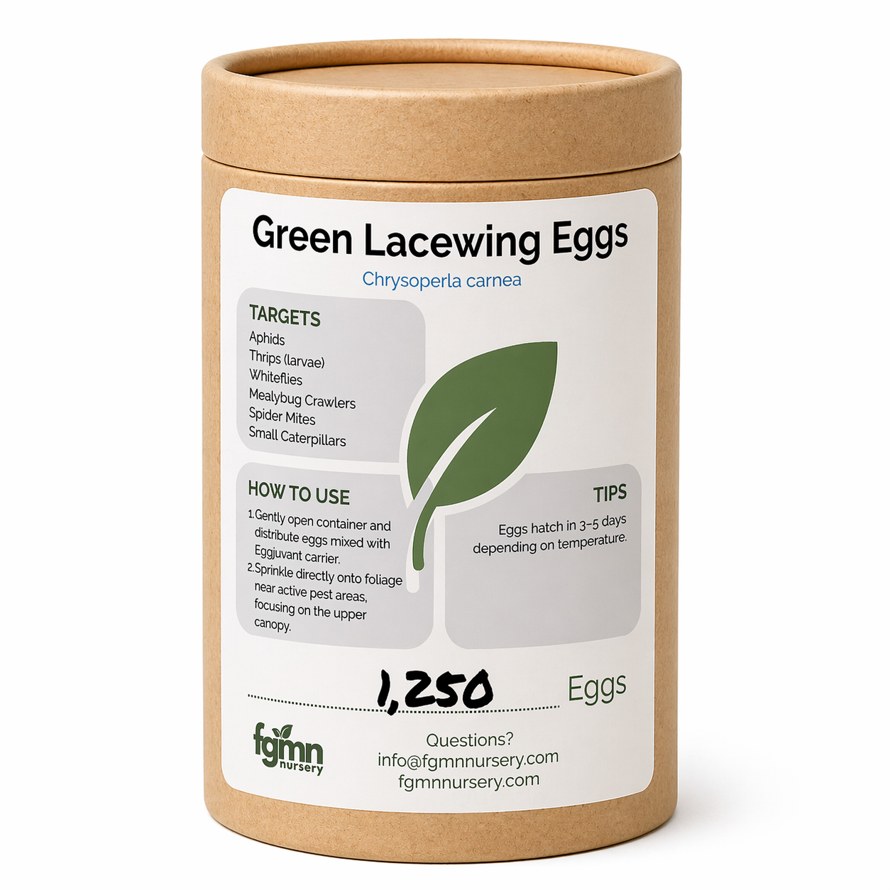Green Lacewing Eggs