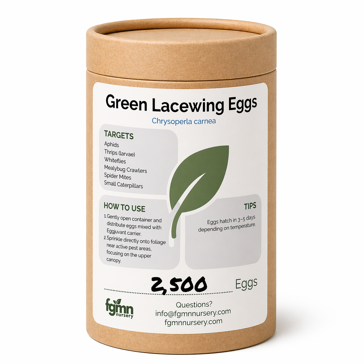 Green Lacewing Eggs