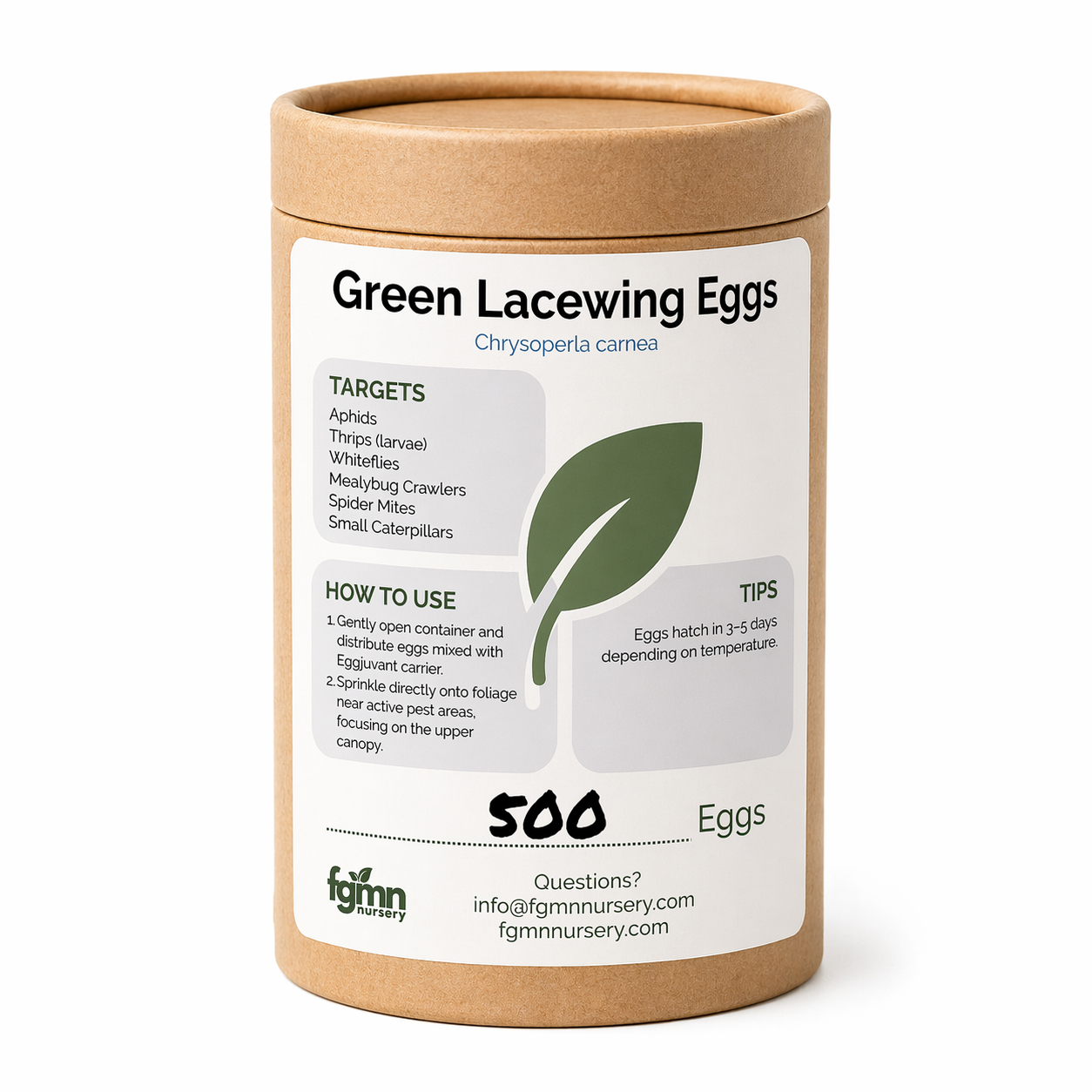 Green Lacewing Eggs
