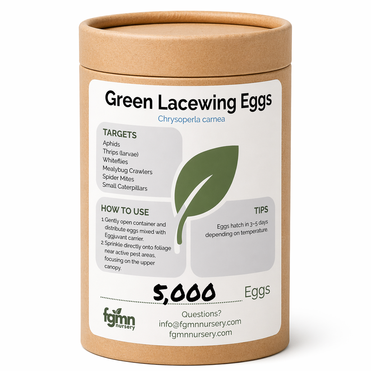 Green Lacewing Eggs