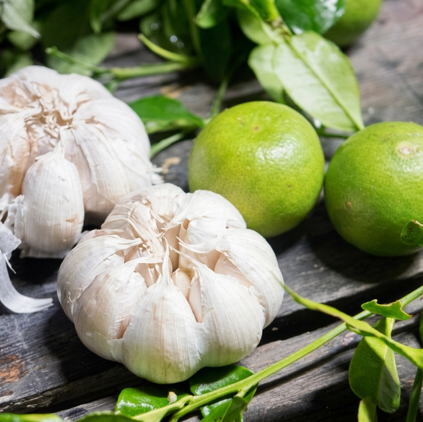 Lime Garlic Salt