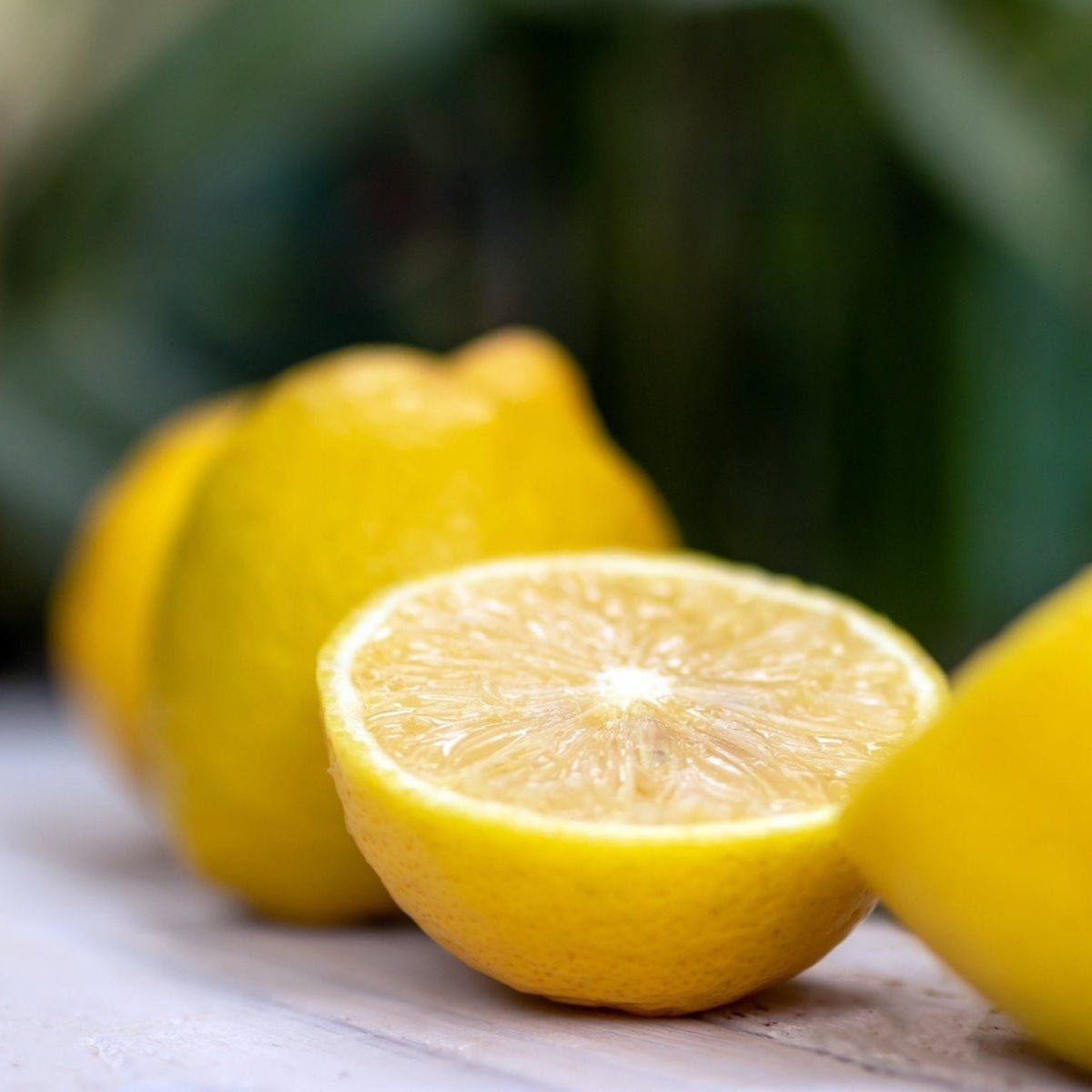 Close-up of lemons with a blurred green background. Lisbon Lemon Tree