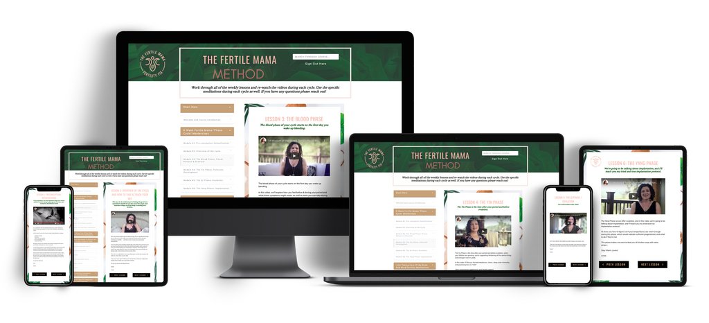 Fertile Mama Method Fertility Support Program