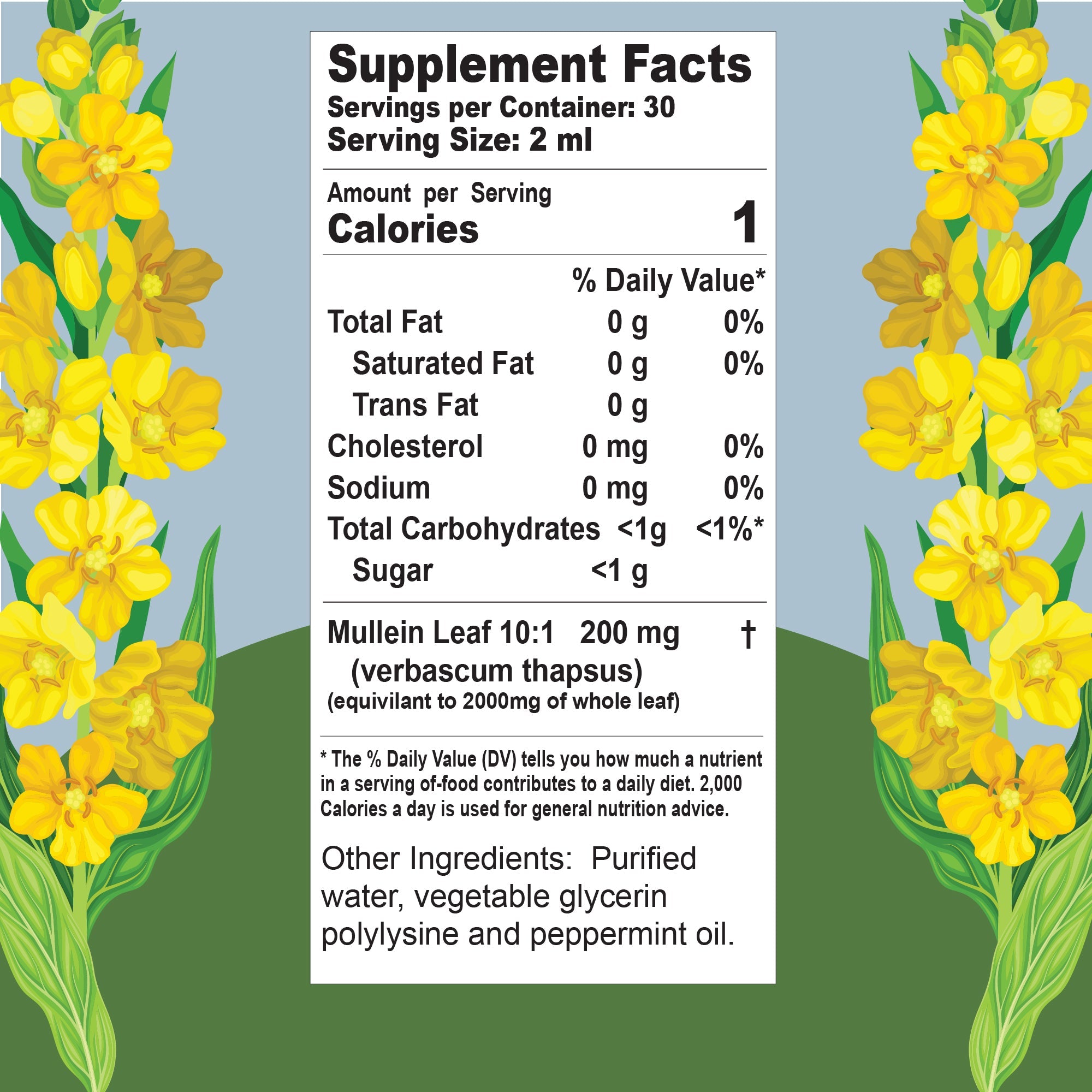 Buried Treasure Liquid Nutrients Mullein Drops with 200mg 10:1 Extract, Alcohol-Free Liquid Dietary Supplement