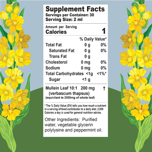 Buried Treasure Liquid Nutrients Mullein Drops with 200mg 10:1 Extract, Alcohol-Free Liquid Dietary Supplement
