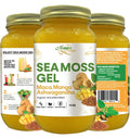 Three jars of Maca Mango Ashwagandha Sea Moss Gel with labels on a white background. Maca, Mango & Ashwagandha Sea Moss Gel – 16oz | Organic Wildcrafted Irish Seaweed Superfood