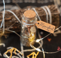 Glass bottle with cork lid containing small objects, surrounded by string lights and twigs on a dark background. Manifest Spell Jar