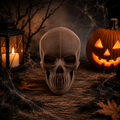 3D Skull (Hollow)
